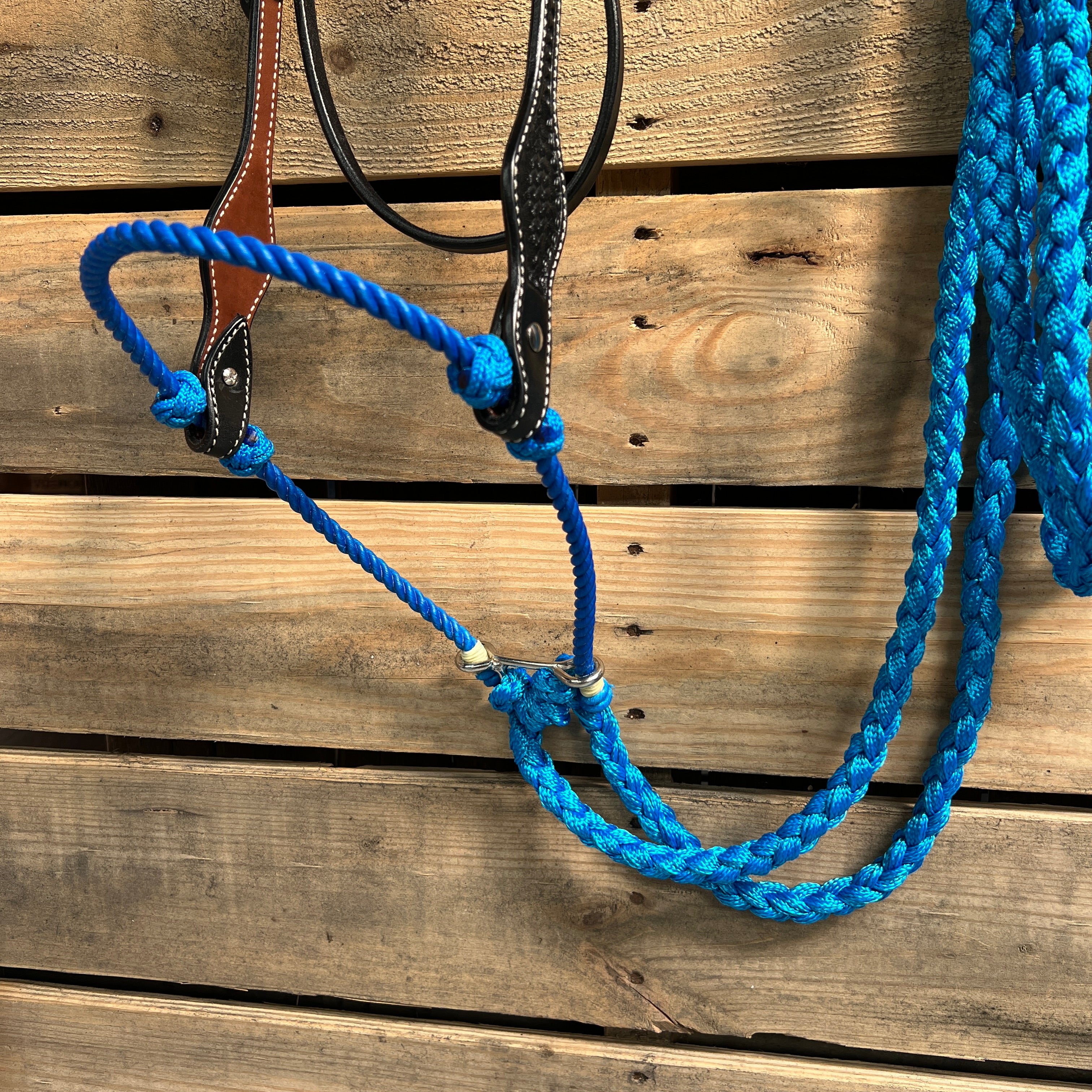Black Basketweave Blue Loping Hackamore #LHK003