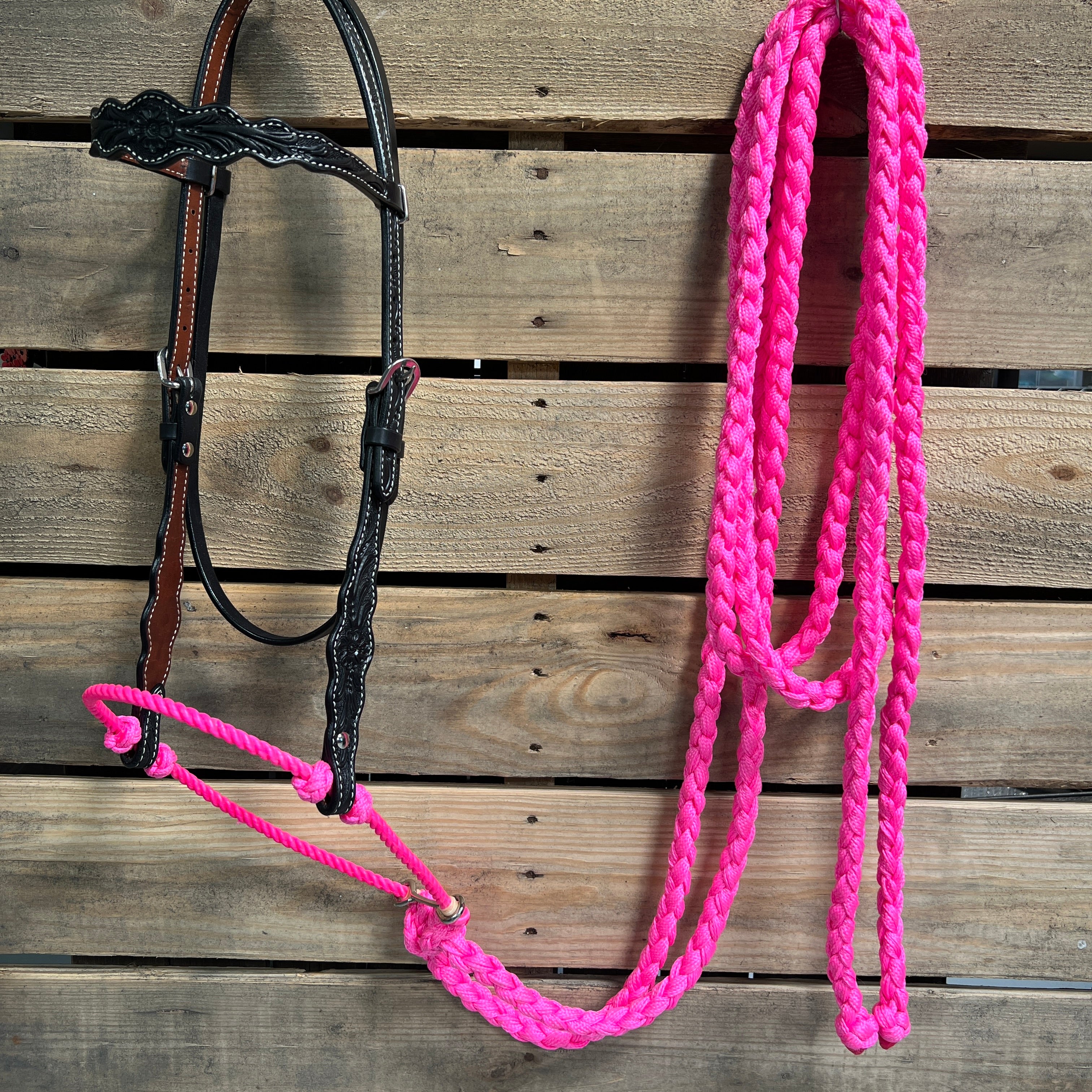 Black Floral Scalloped Neon Pink Loping Hackamore #LHK015