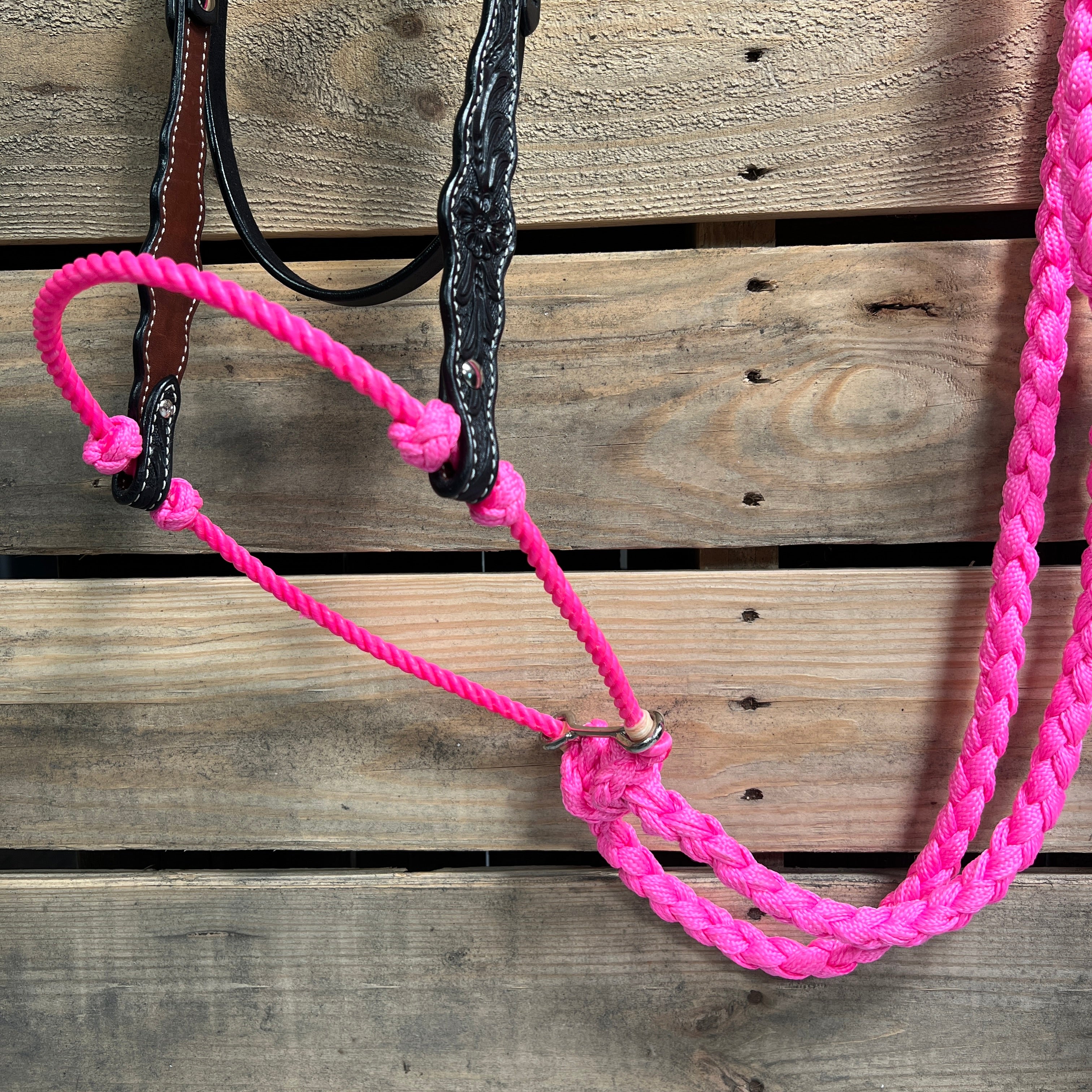 Black Floral Scalloped Neon Pink Loping Hackamore #LHK015