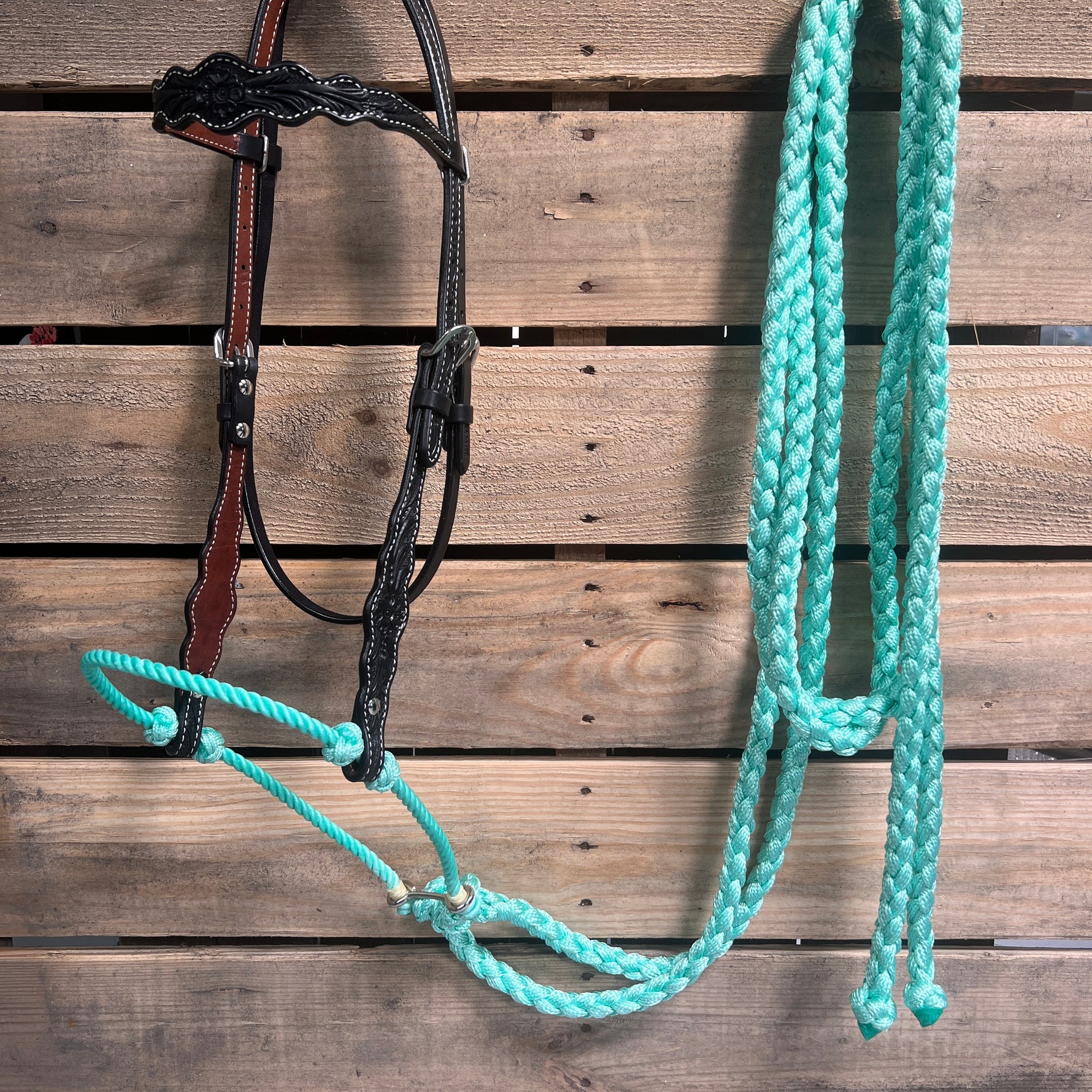 Black Floral Scalloped Turquoise Loping Hackamore #LHK016