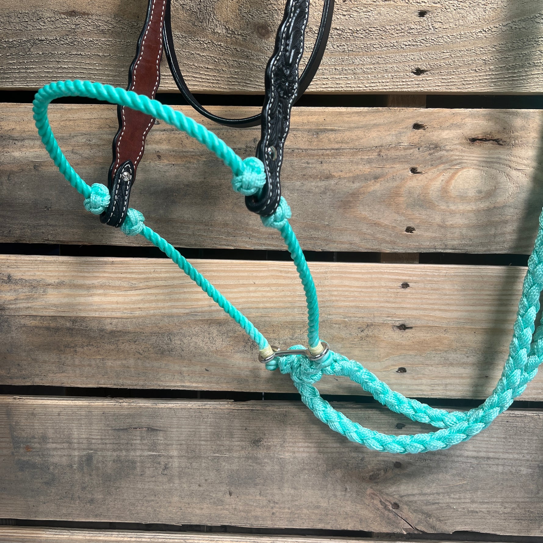 Black Floral Scalloped Turquoise Loping Hackamore #LHK016