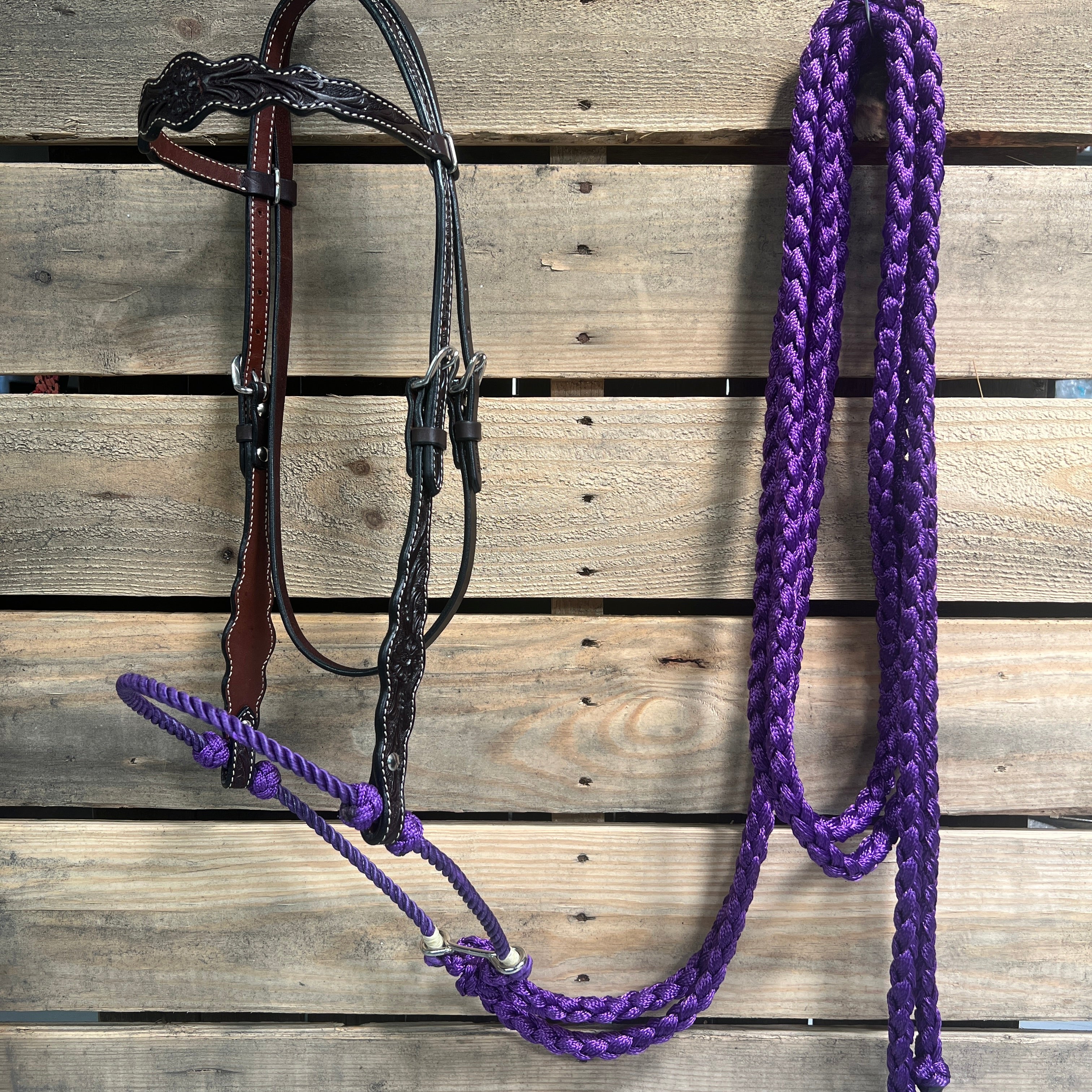 Dark Oil Floral Scalloped Purple Loping Hackamore #LHK017