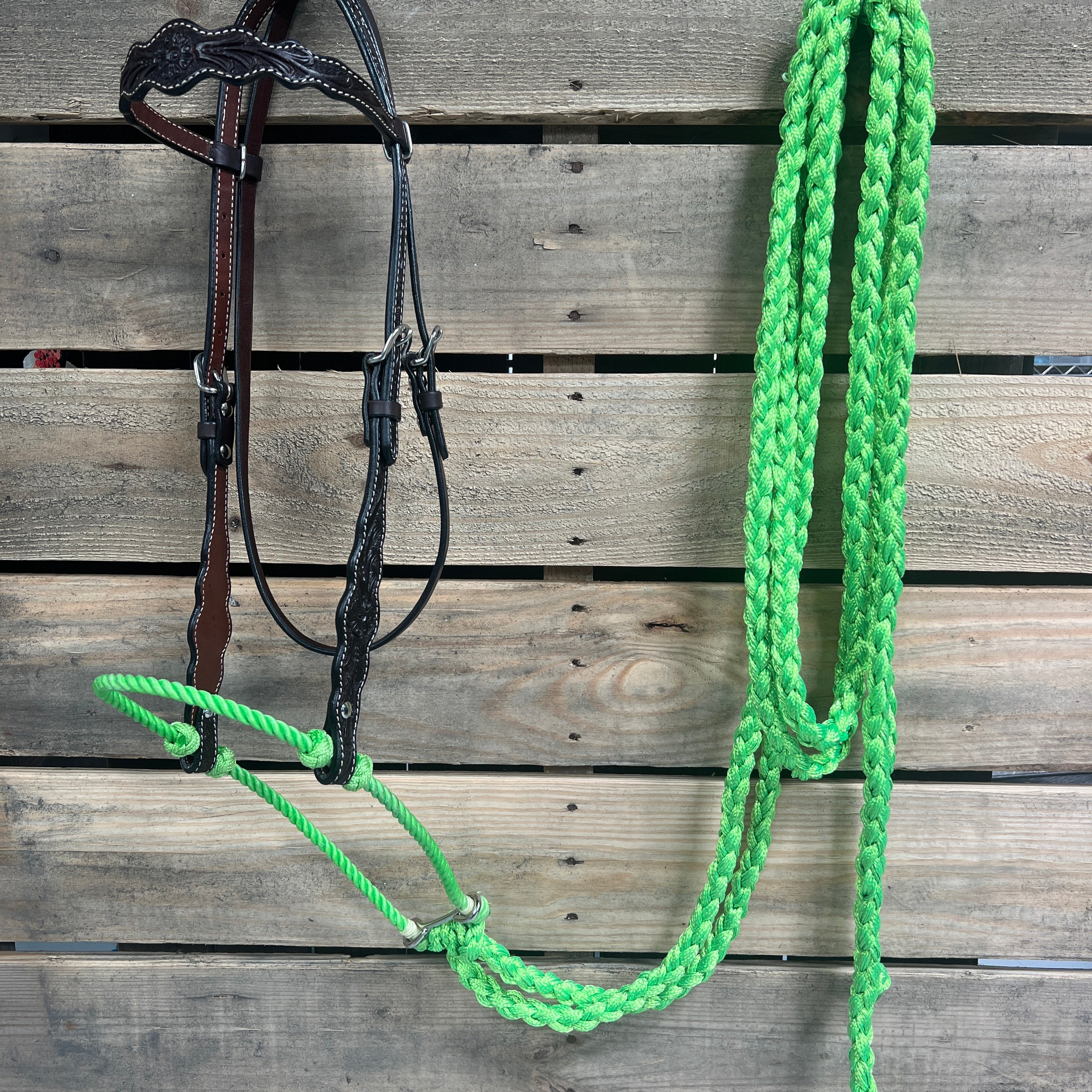 Dark Oil Floral Scalloped Lime Loping Hackamore #LHK019