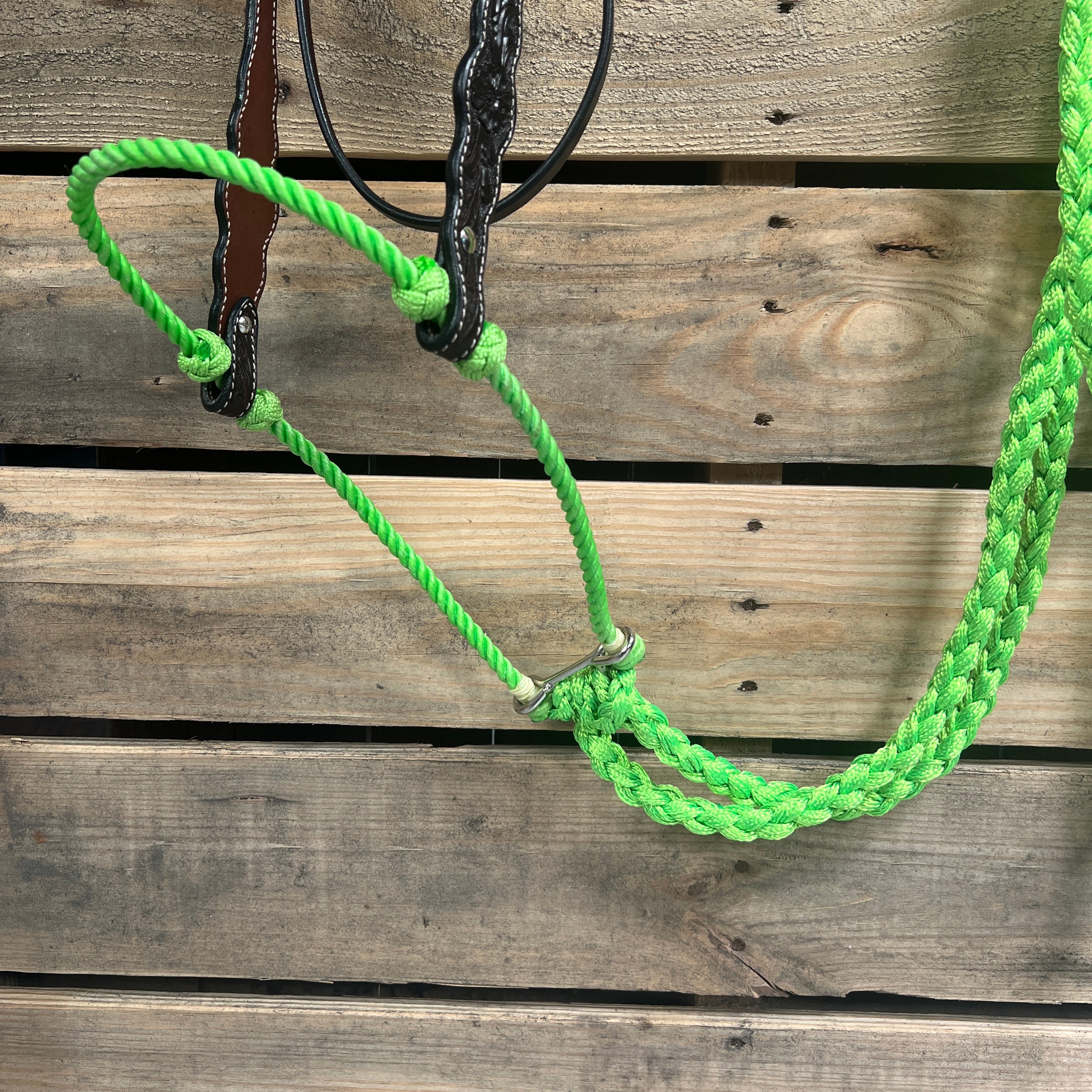 Dark Oil Floral Scalloped Lime Loping Hackamore #LHK019