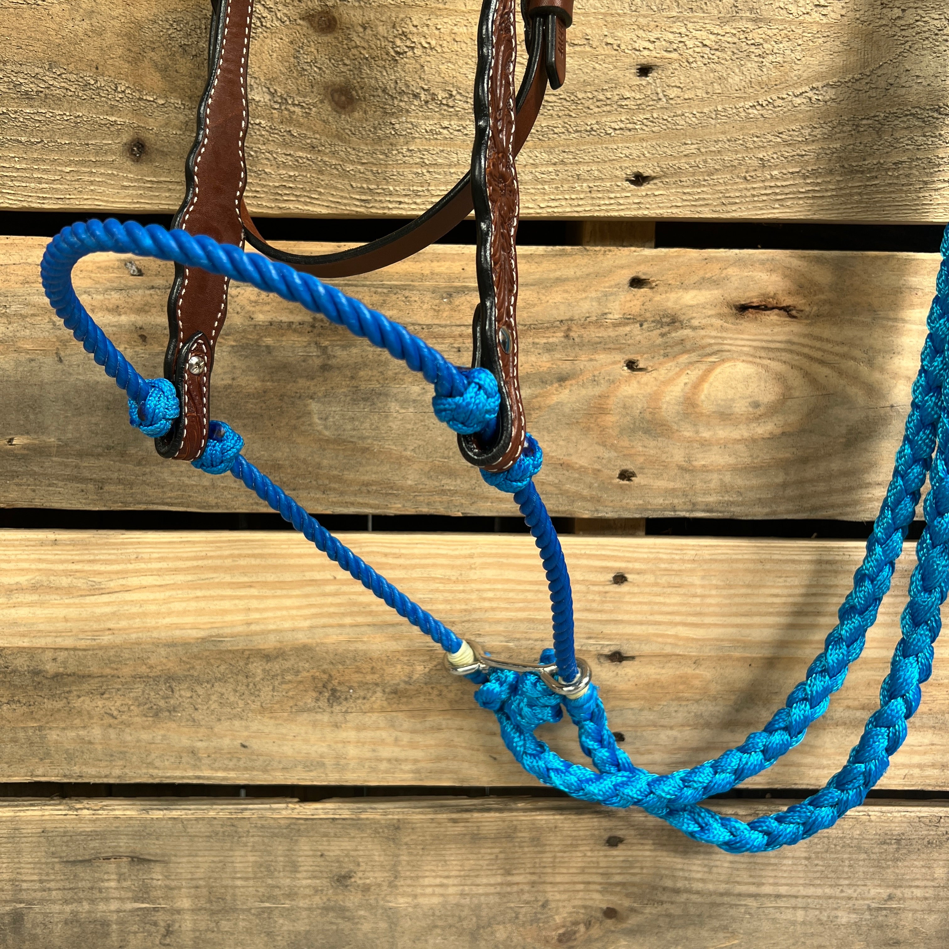 Medium Oil Floral Scalloped Blue Loping Hackamore #LHK021