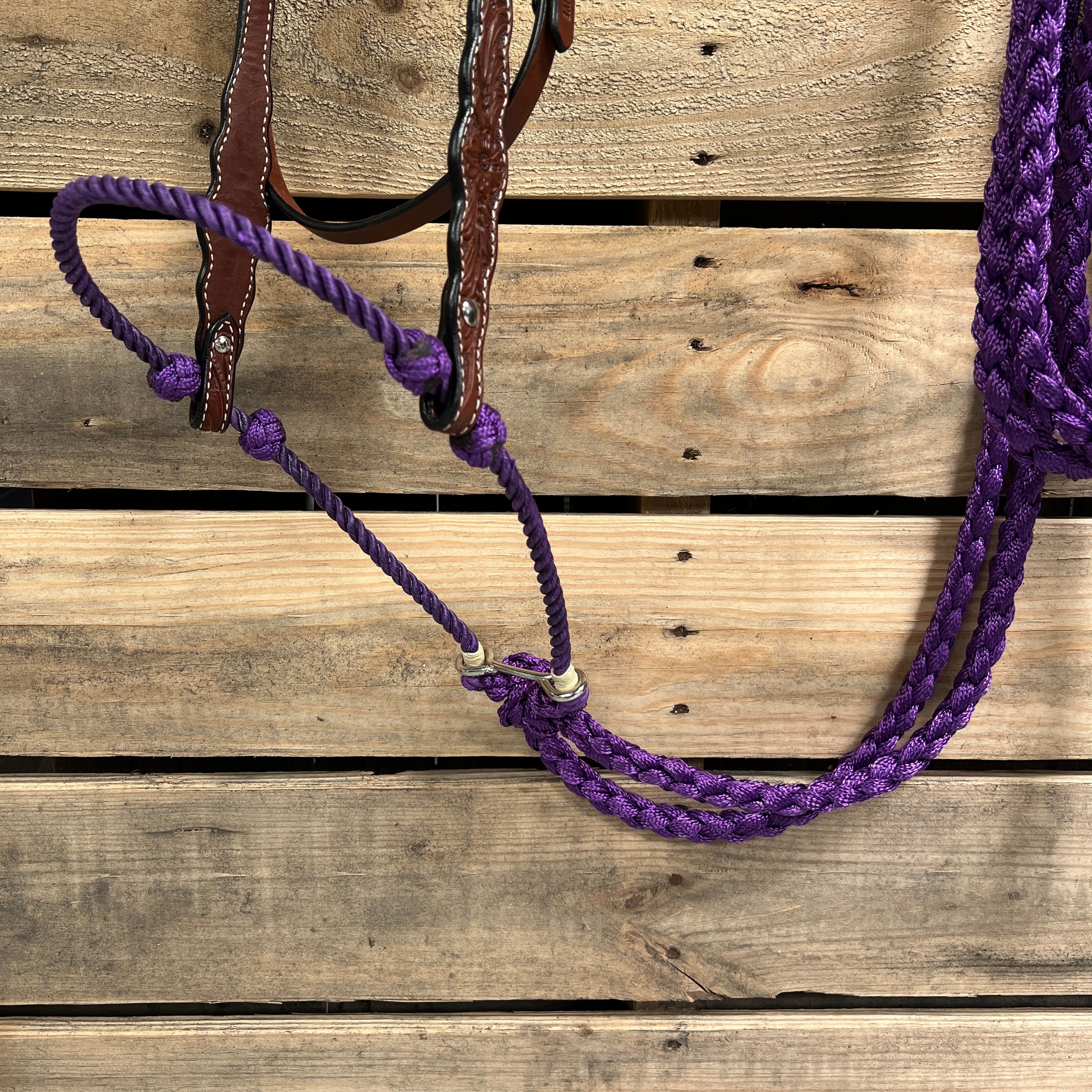 Medium Oil Floral Scalloped Purple Loping Hackamore #LHK022