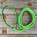 Lariat Noseband and Lead - Assorted Colors
