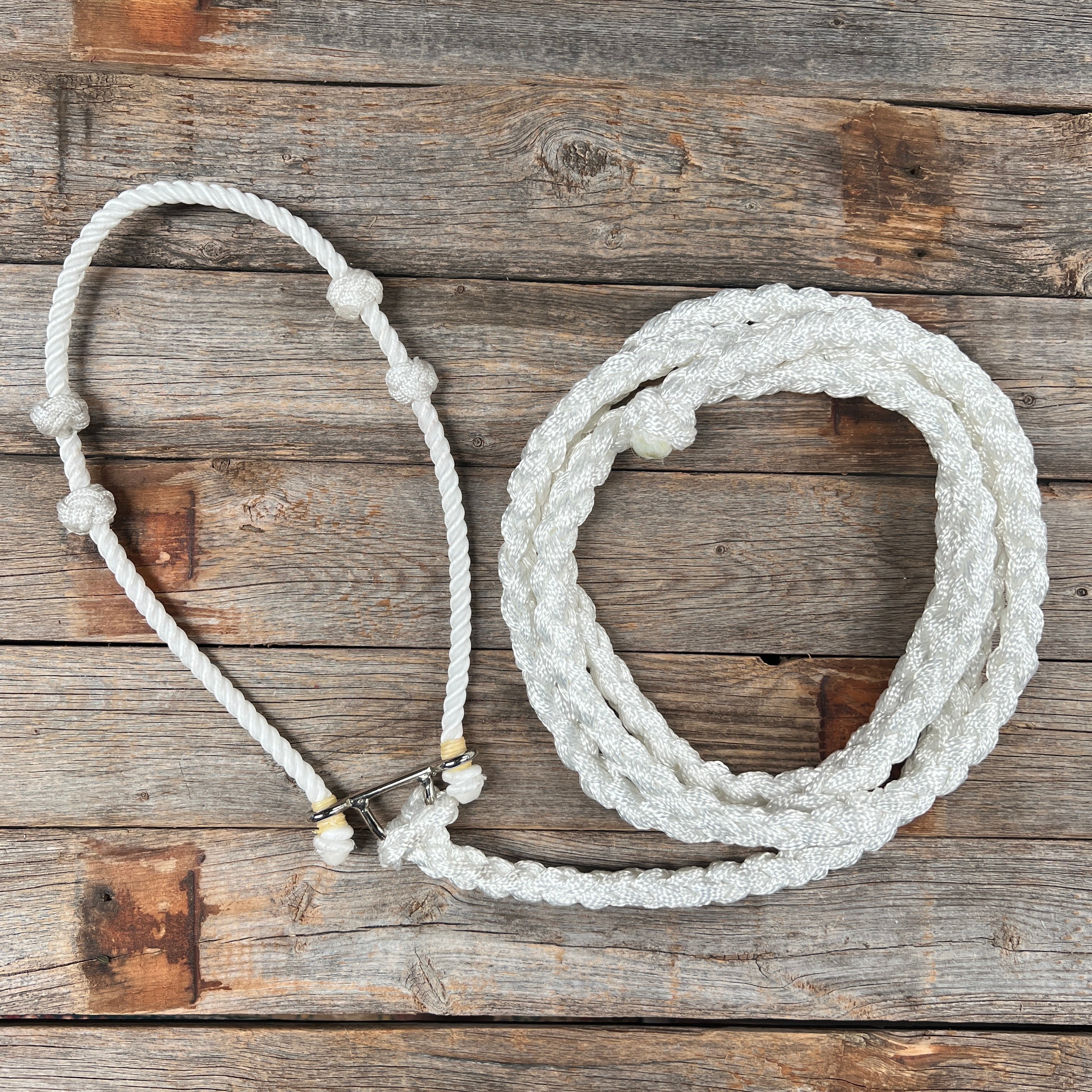 Lariat Noseband and Lead - Assorted Colors