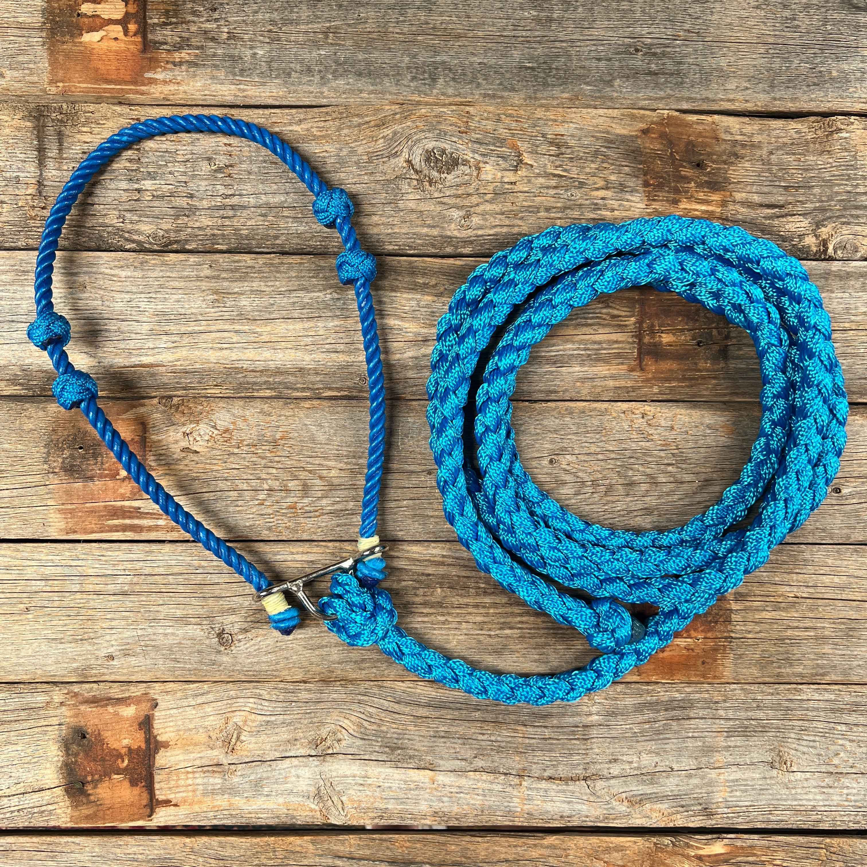 Lariat Noseband and Lead - Assorted Colors