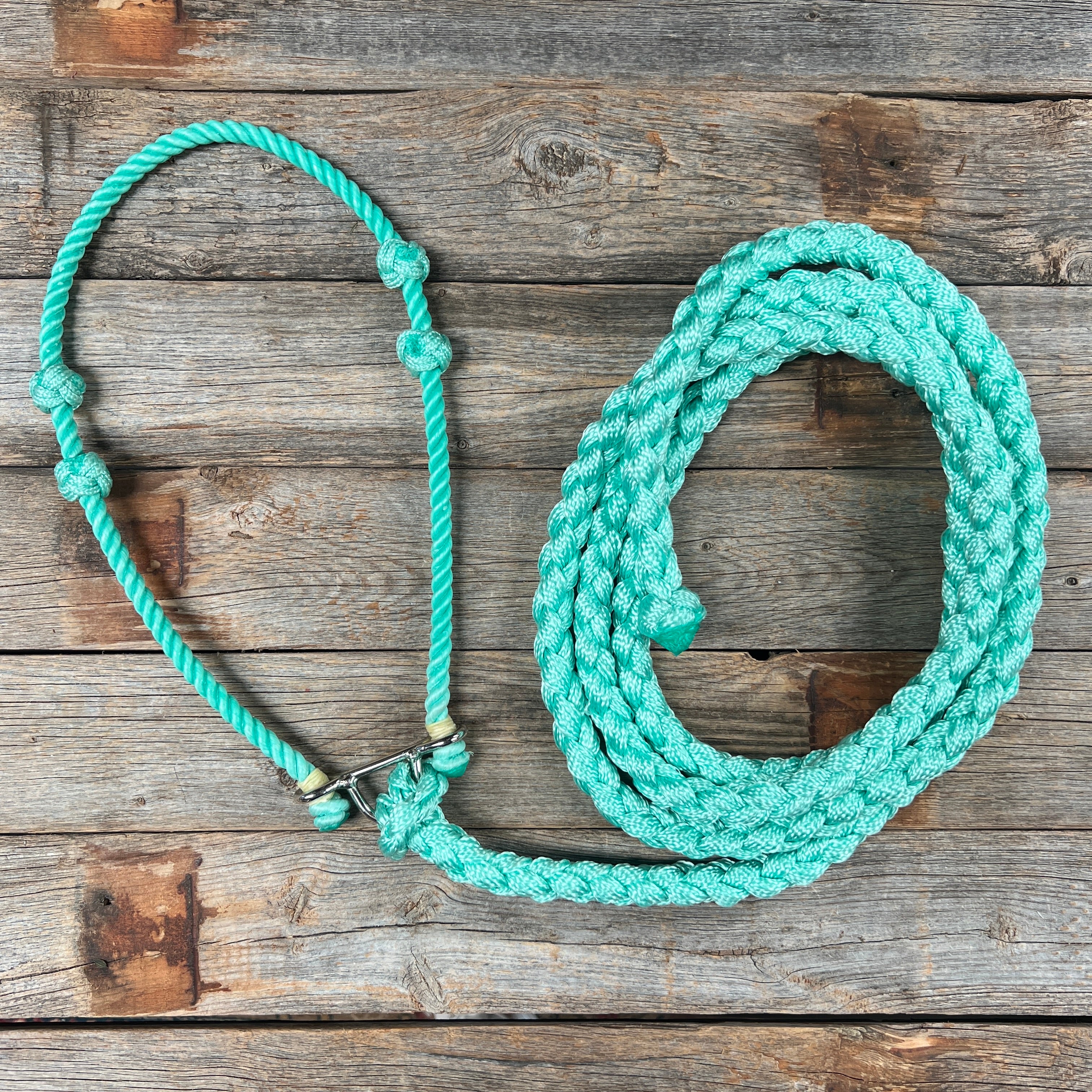 Lariat Noseband and Lead - Assorted Colors