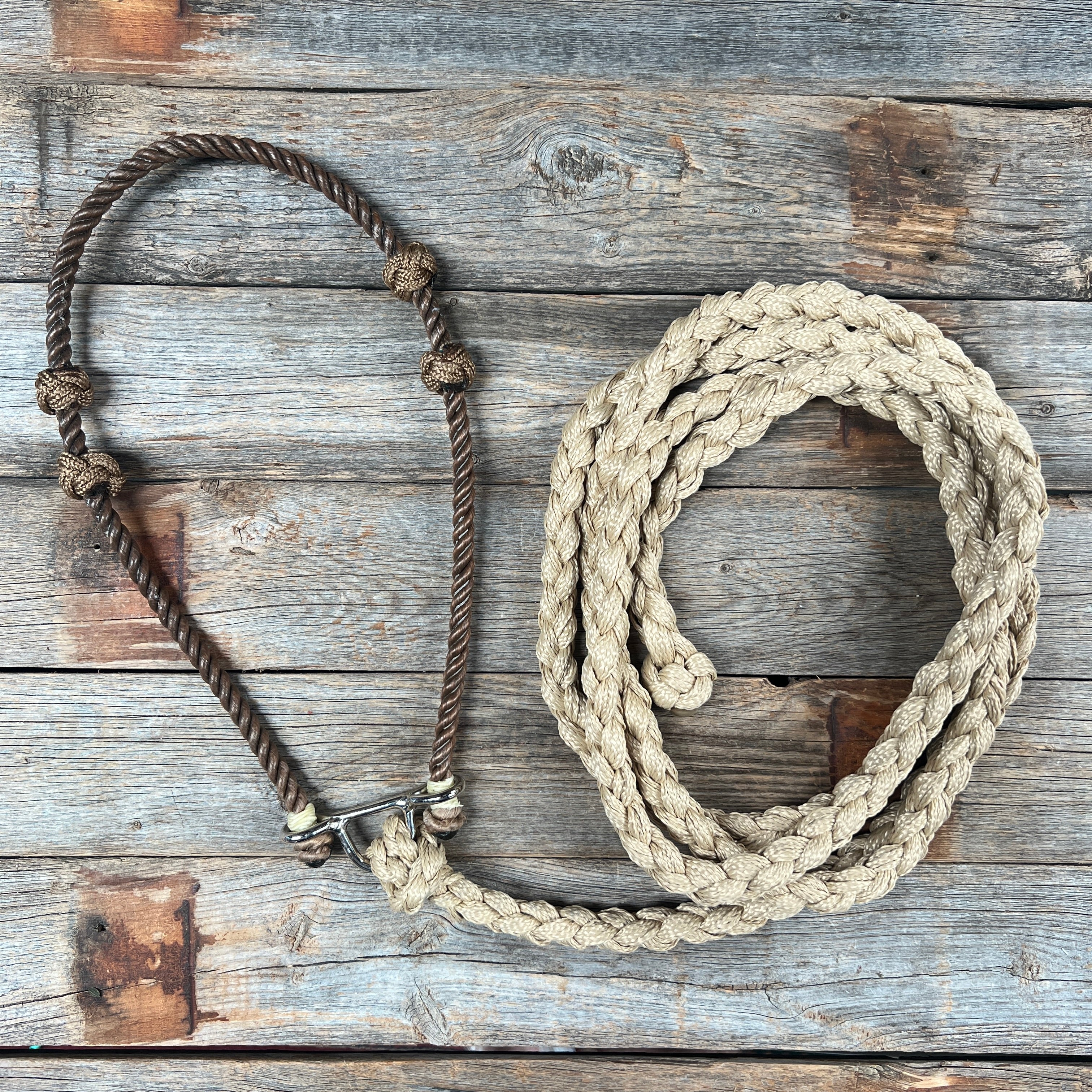 Lariat Noseband and Lead - Assorted Colors