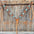 Floral Teal Dot Turquoise - Clear Browband/One Ear Headstall - Breastcollar Tack Set #BBBC669