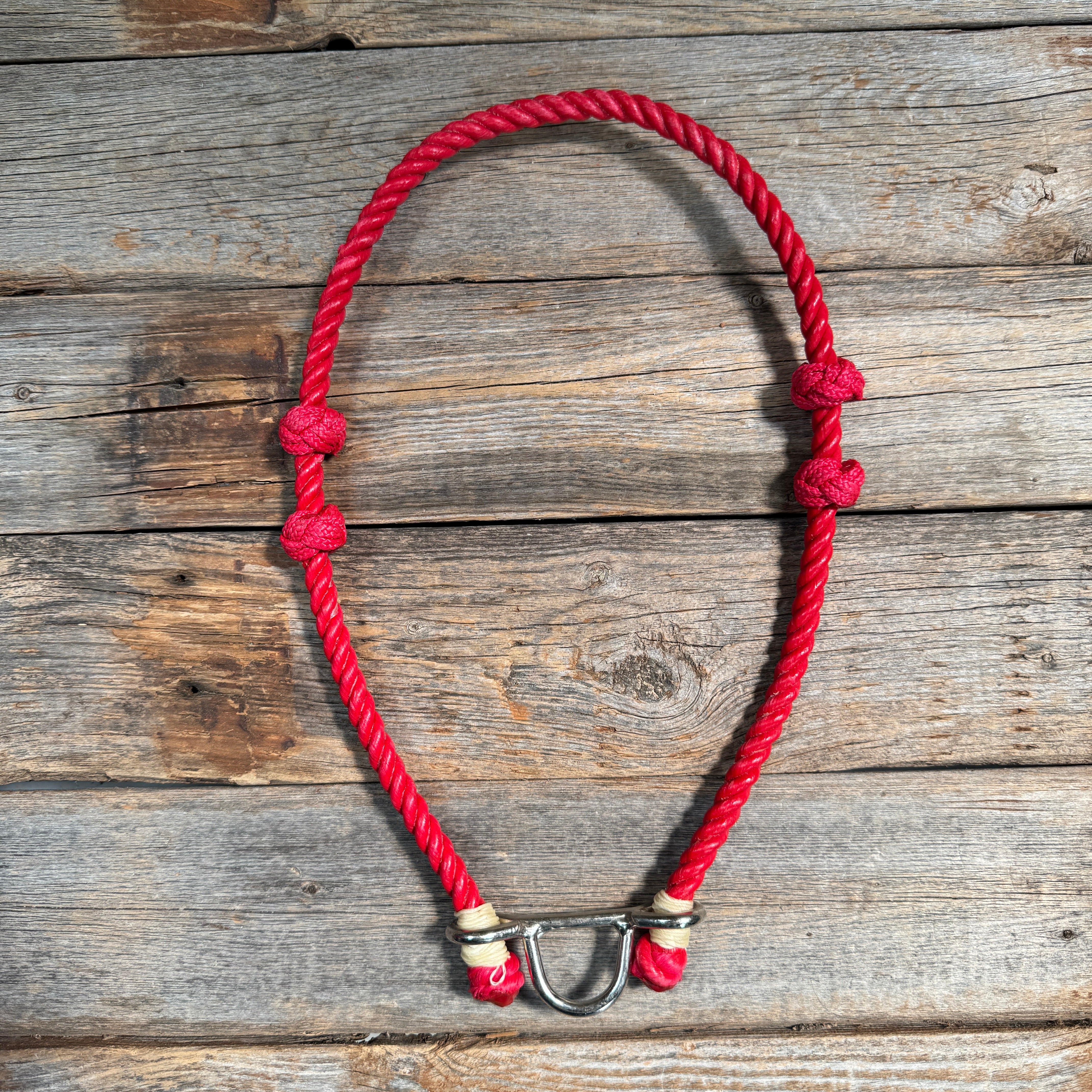 Lariat  Noseband - Assorted Colors