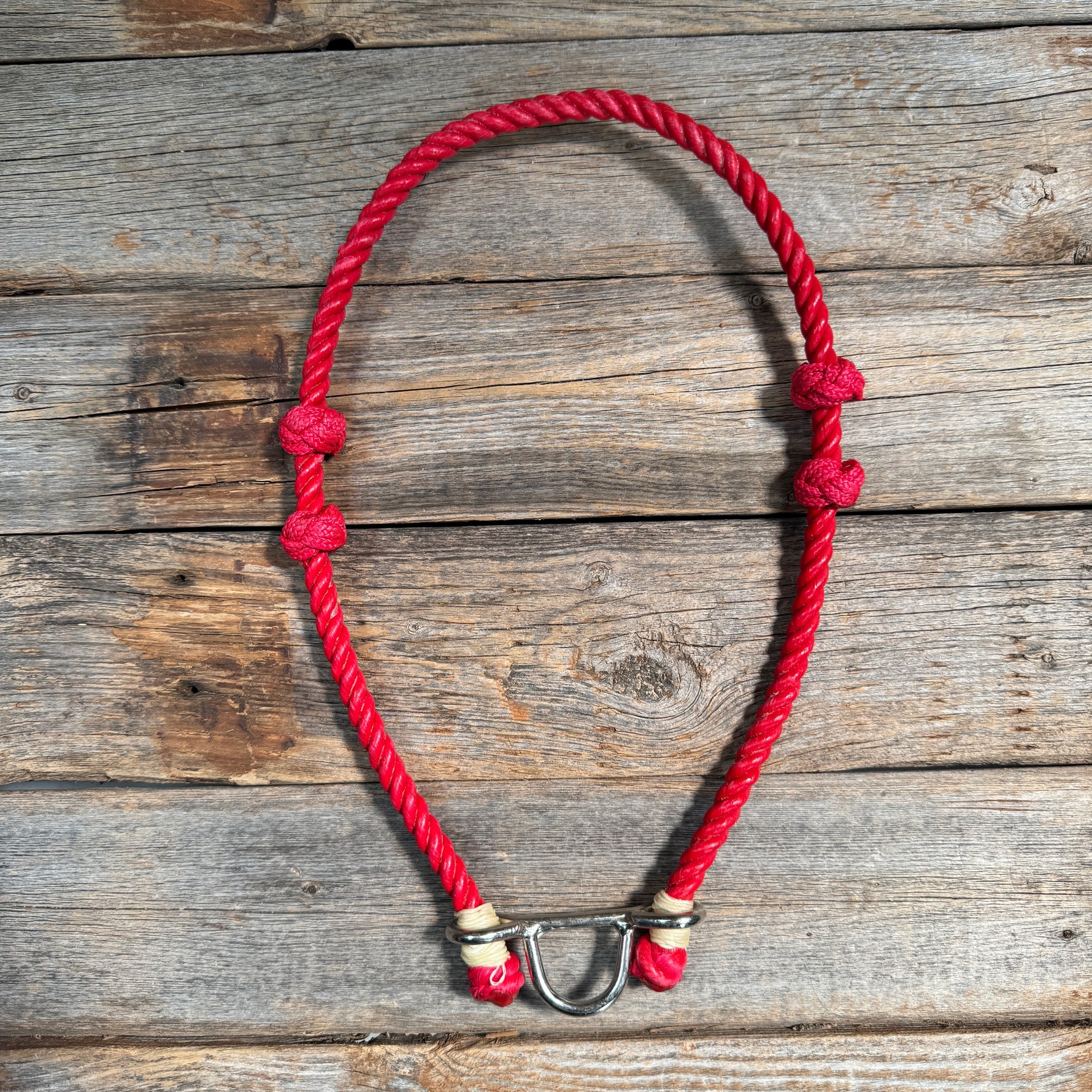 Lariat  Noseband - Assorted Colors