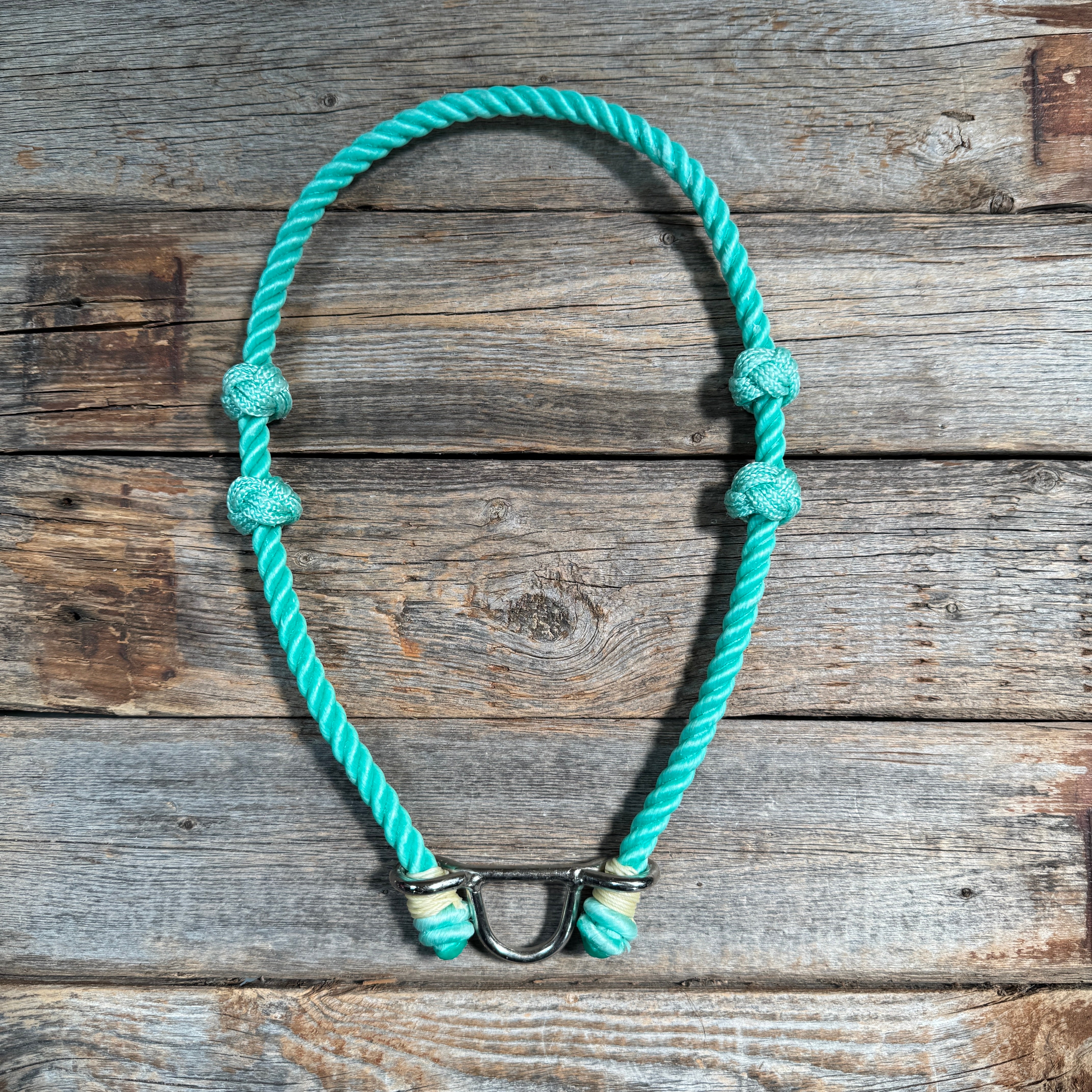 Lariat  Noseband - Assorted Colors