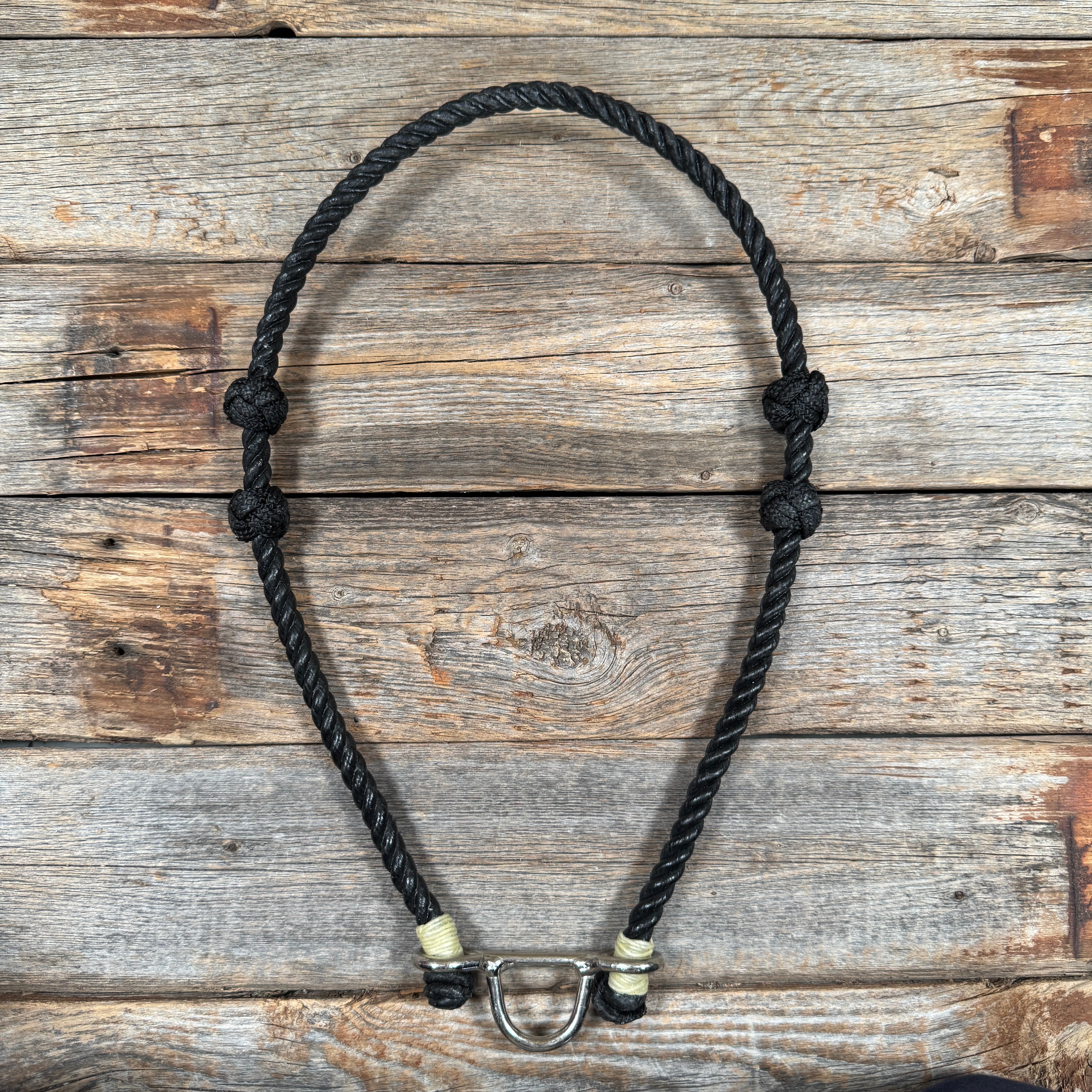 Lariat  Noseband - Assorted Colors