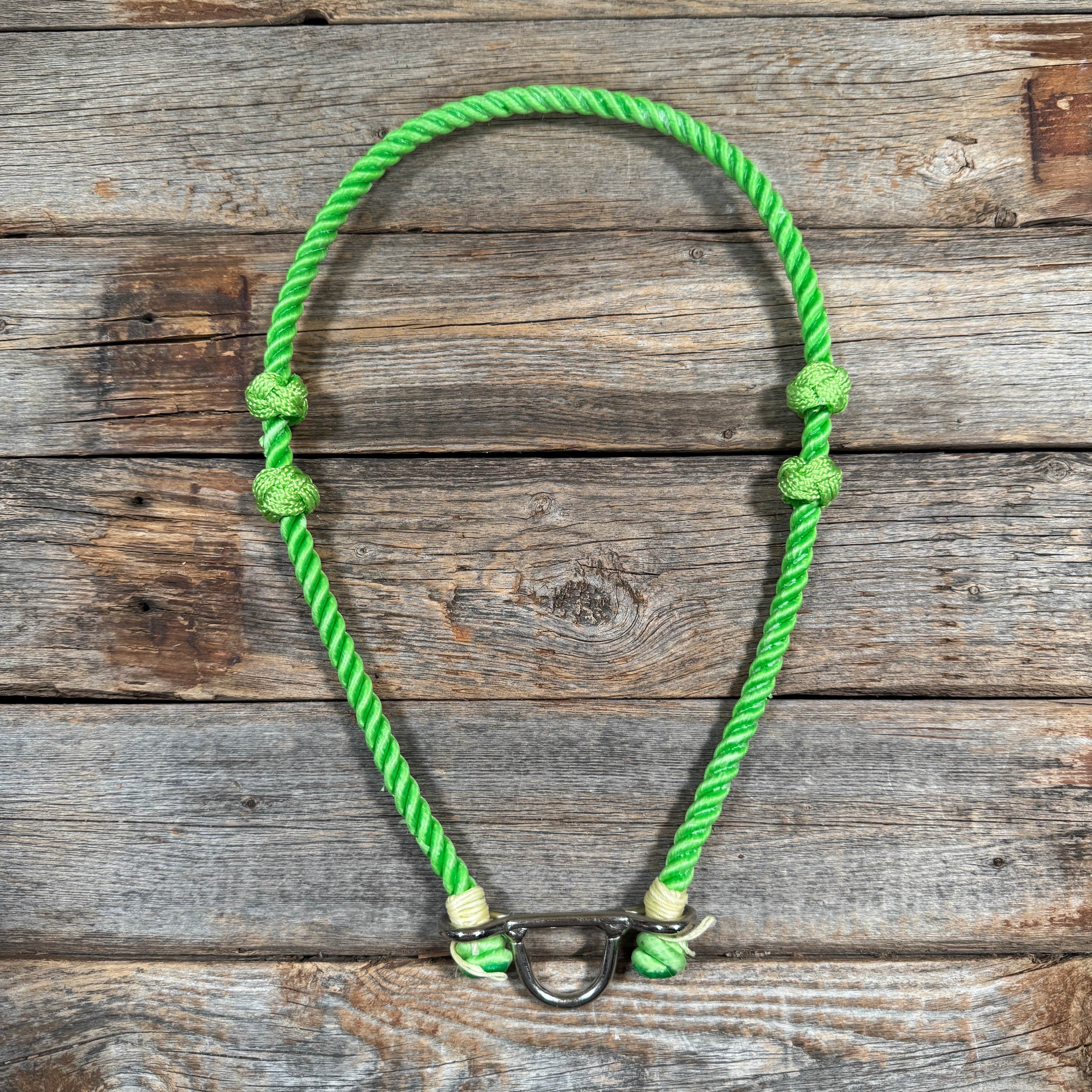 Lariat  Noseband - Assorted Colors