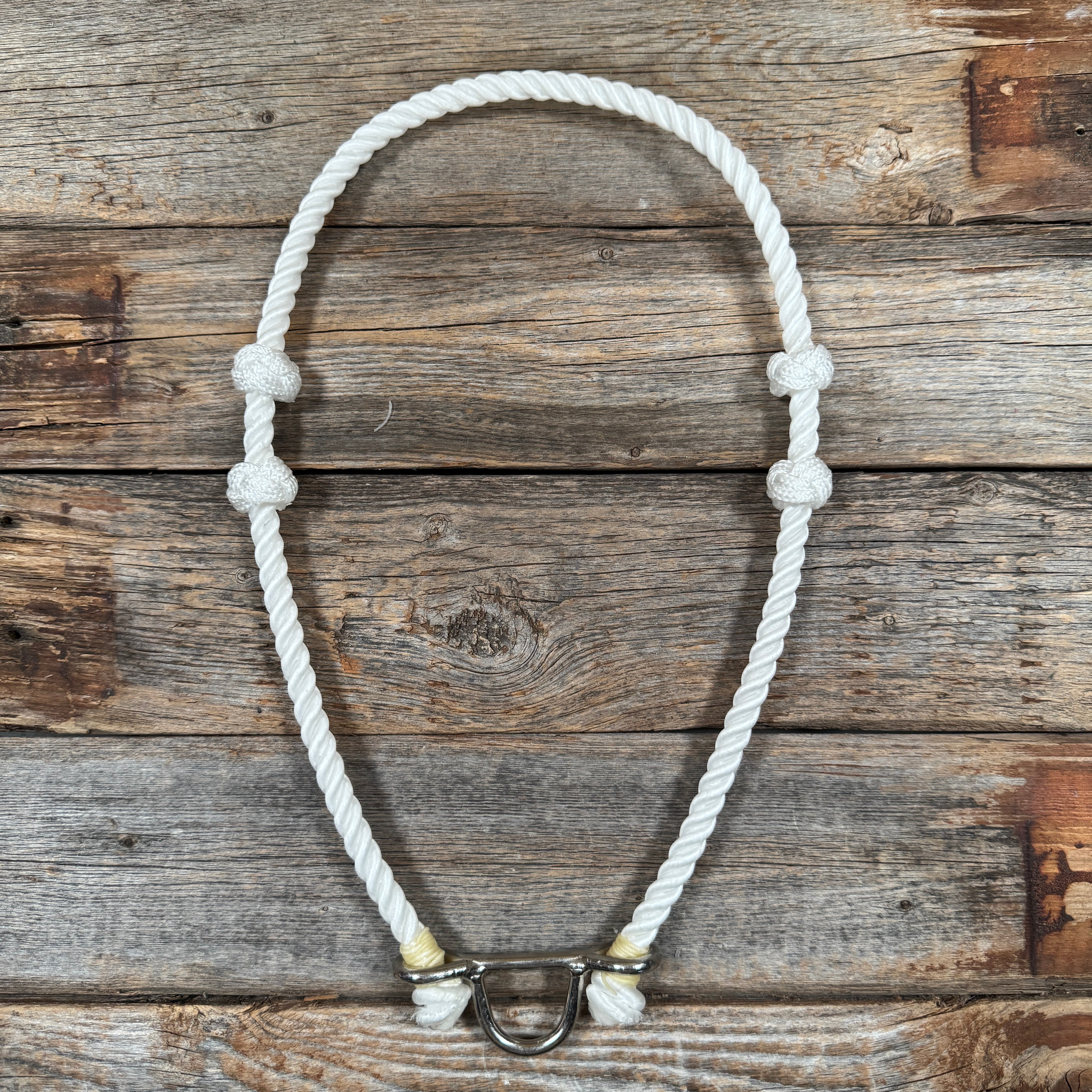 Lariat  Noseband - Assorted Colors