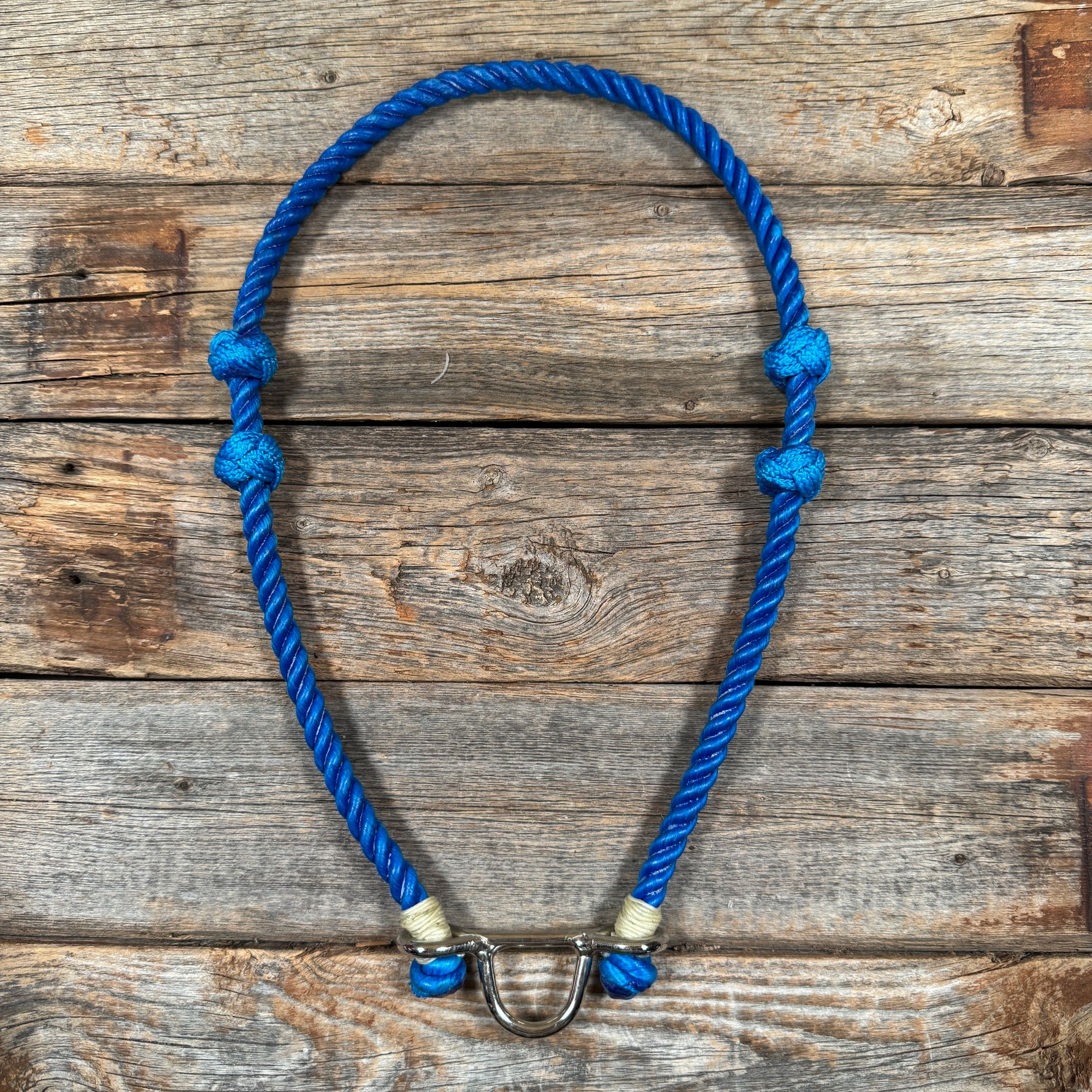 Lariat  Noseband - Assorted Colors