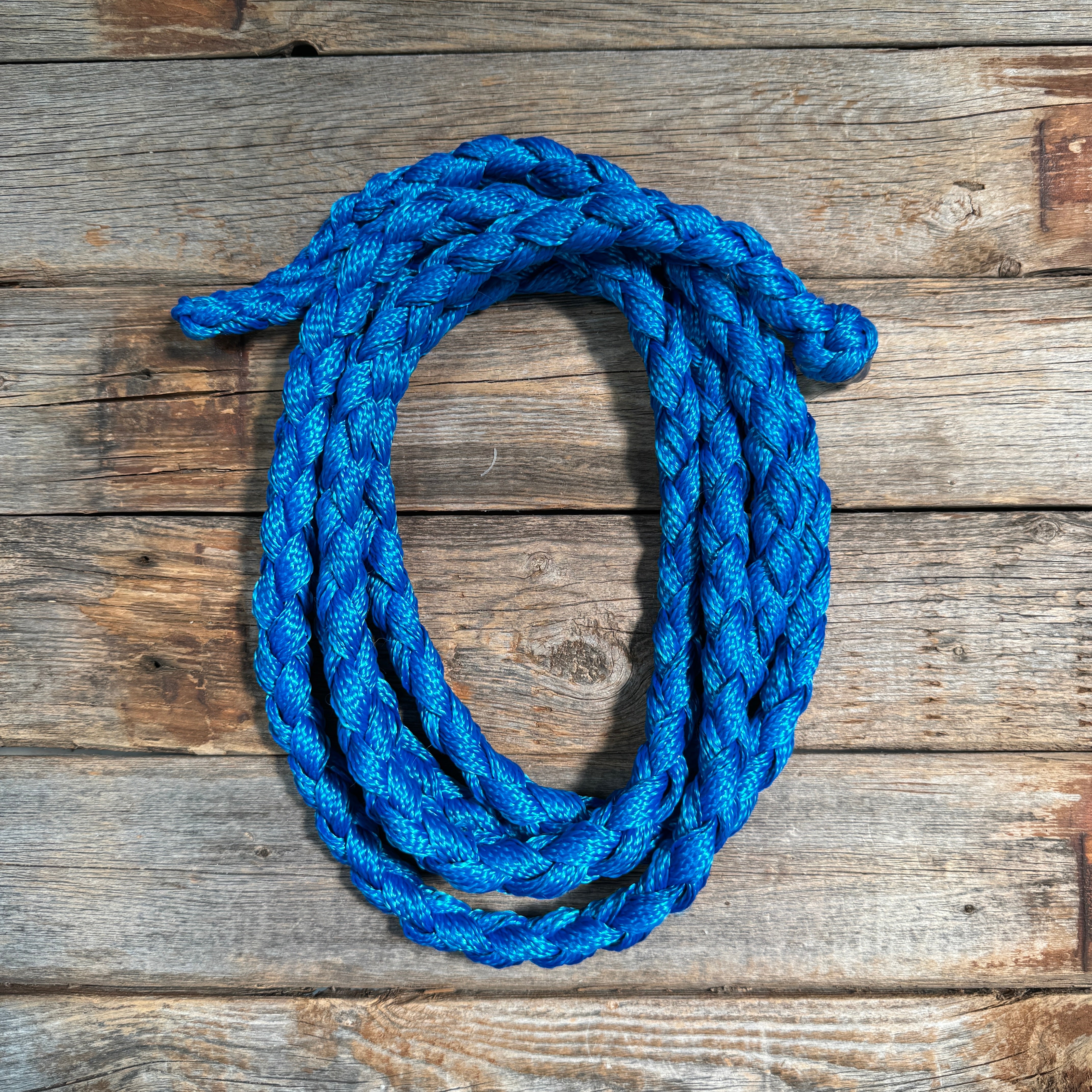 Nylon Lead Ropes for Halters - Assorted Colors