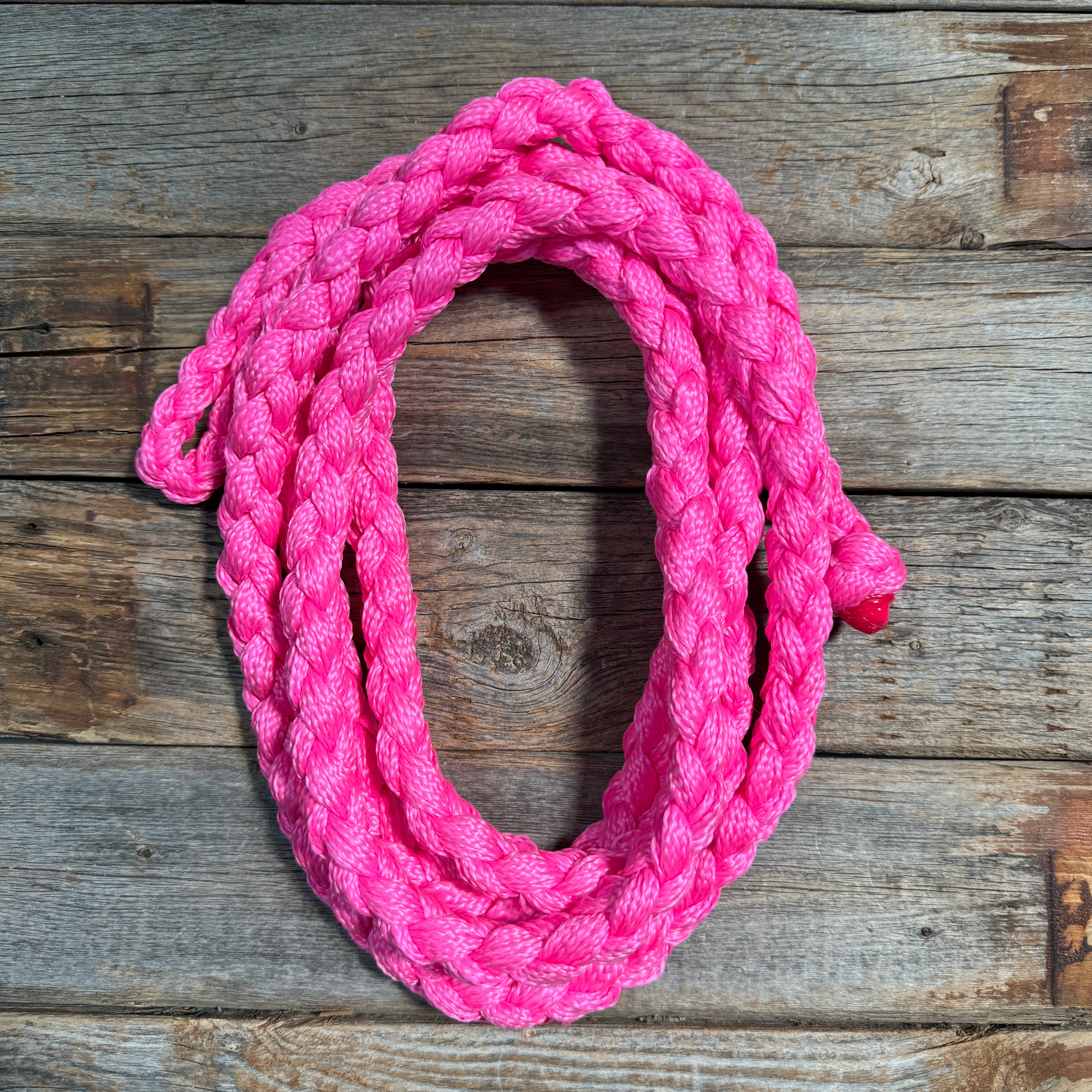 Nylon Lead Ropes for Halters - Assorted Colors