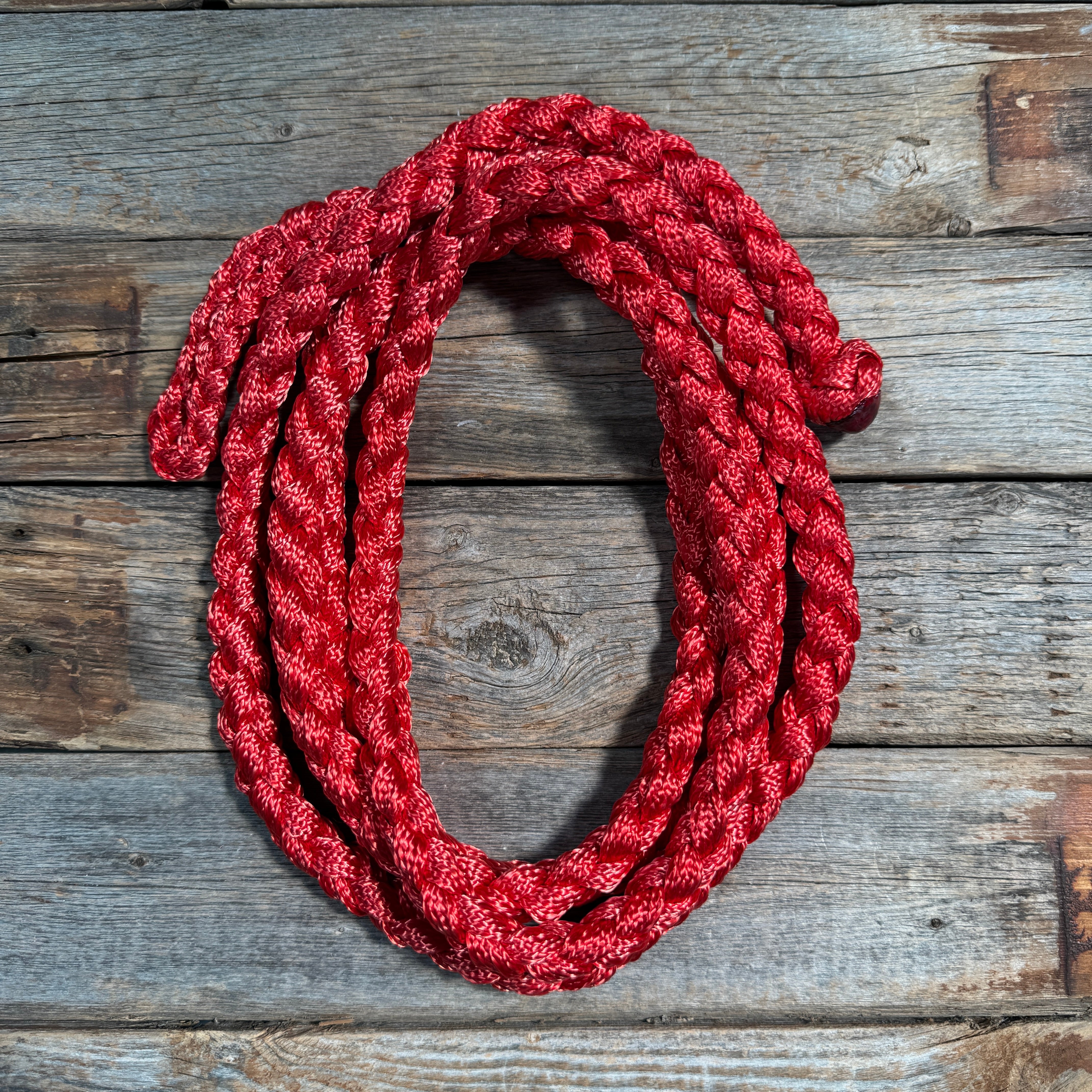 Nylon Lead Ropes for Halters - Assorted Colors