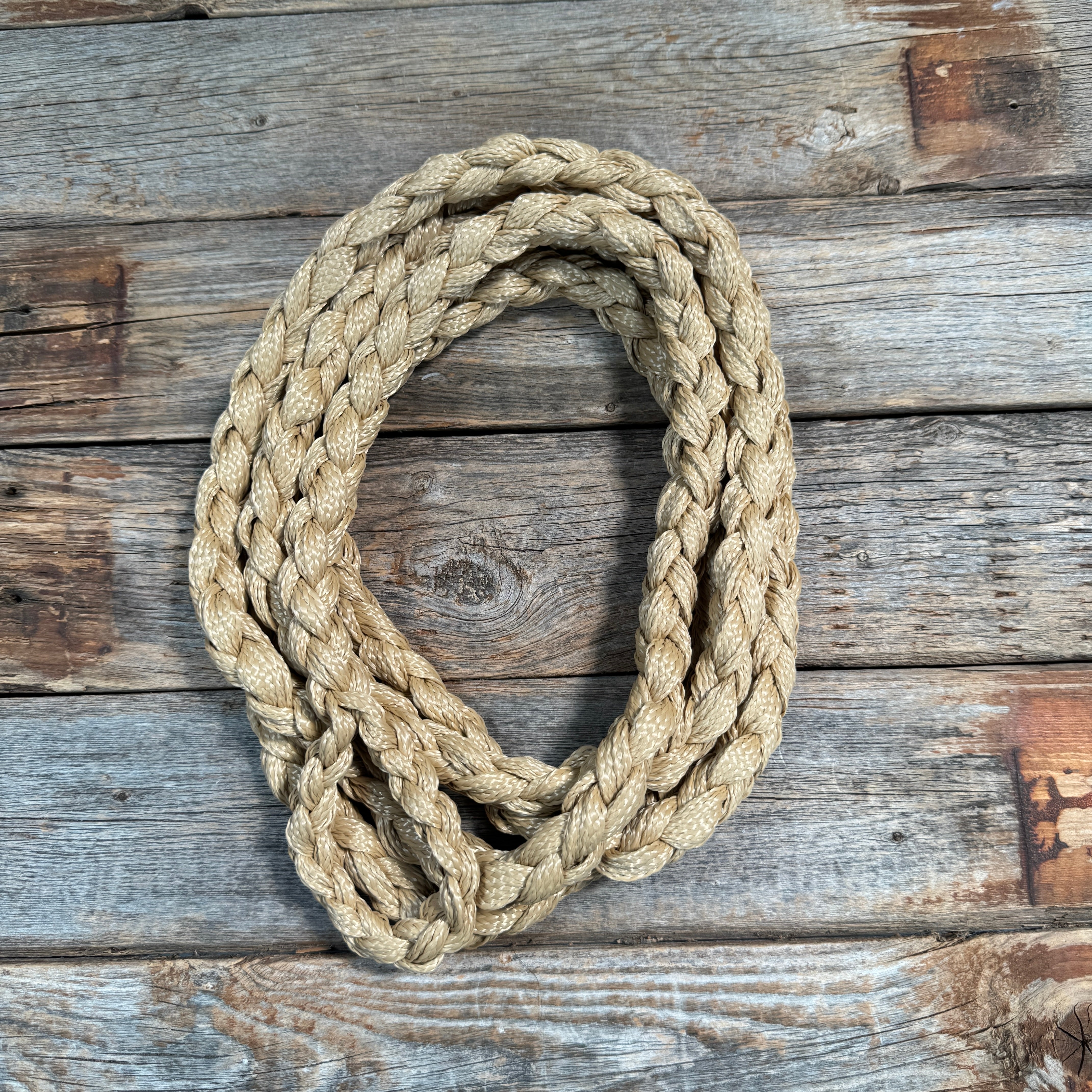 Nylon Lead Ropes for Halters - Assorted Colors