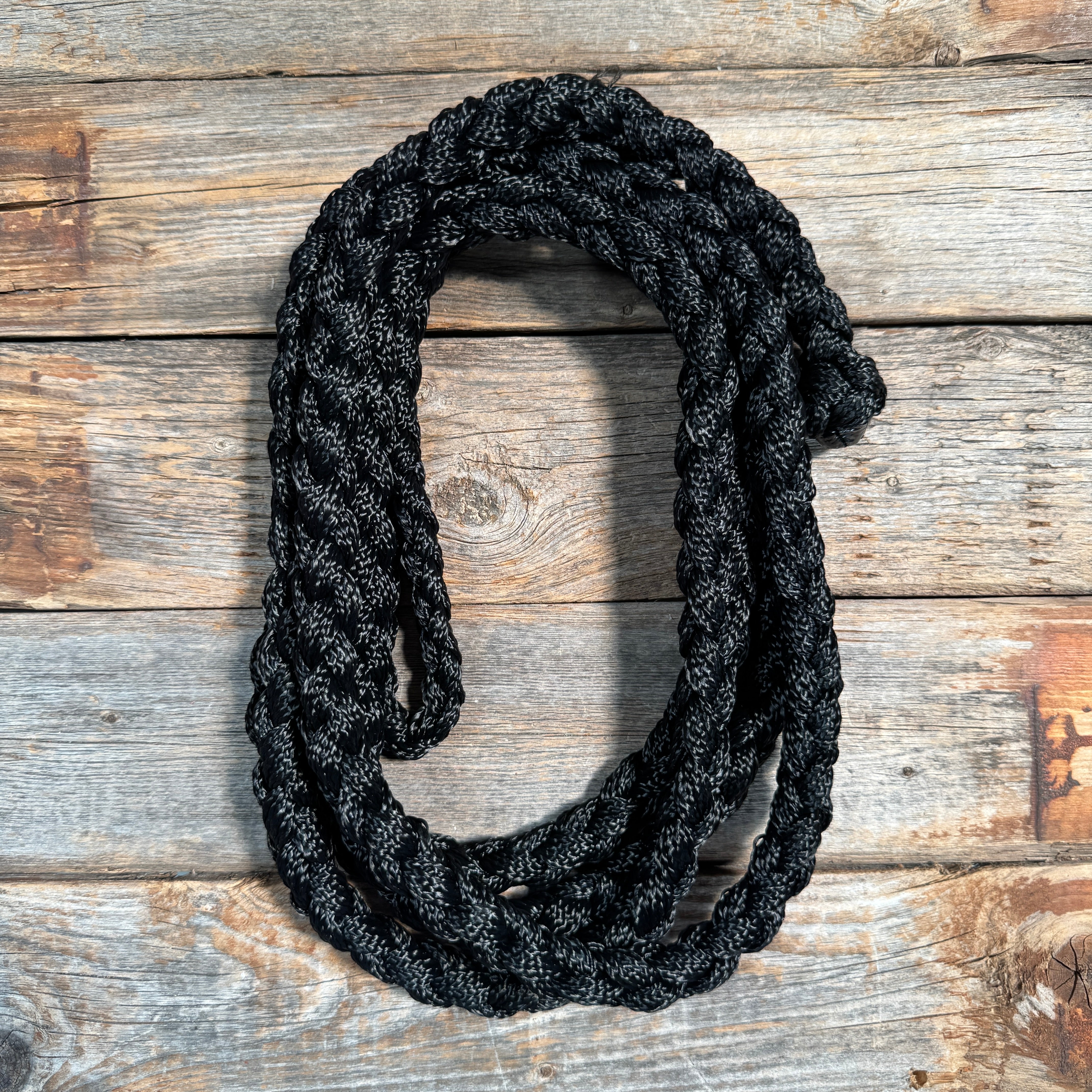 Nylon Lead Ropes for Halters - Assorted Colors