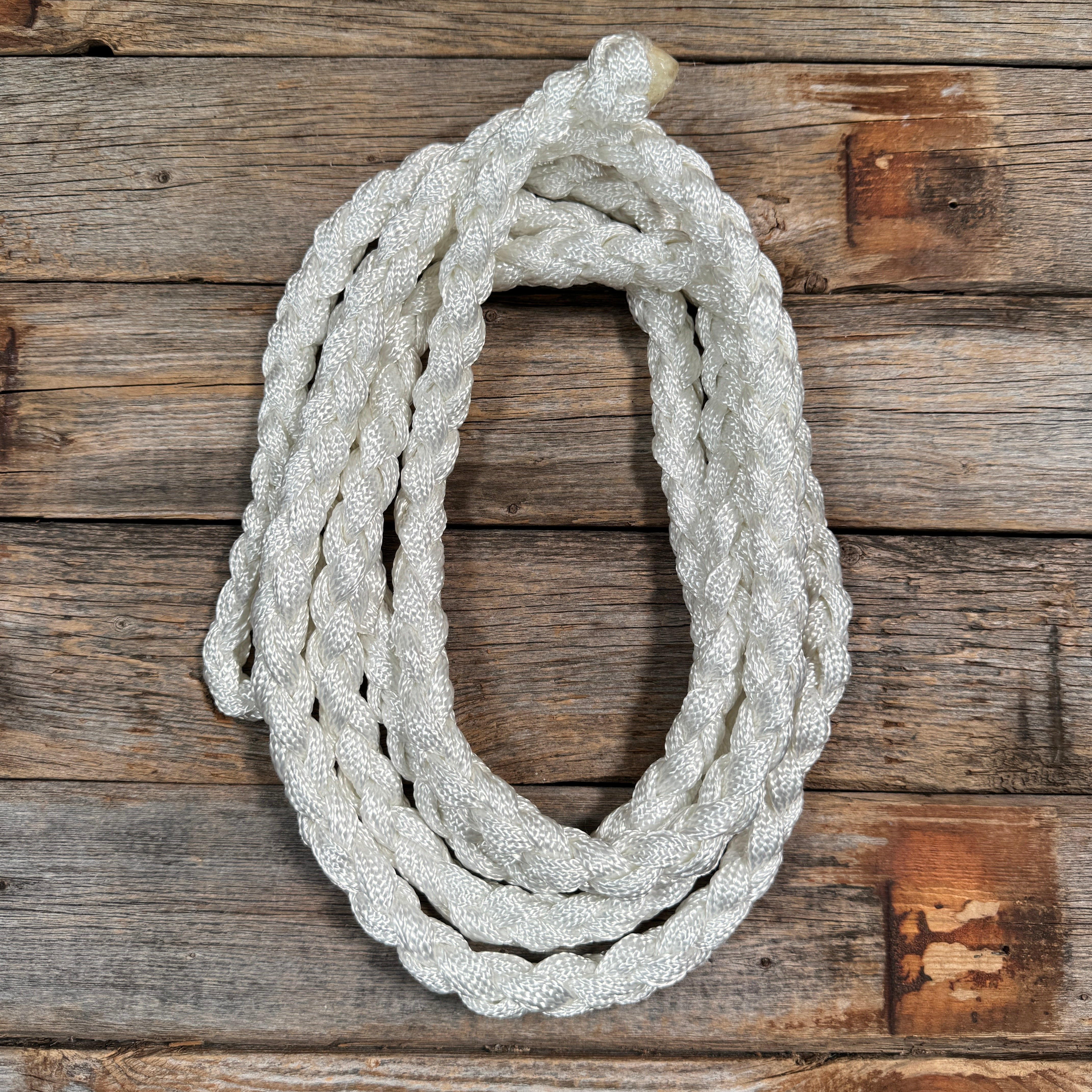 Nylon Lead Ropes for Halters - Assorted Colors