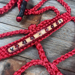 Red Mule Tape Halter - Multicolored Flowers #MT238