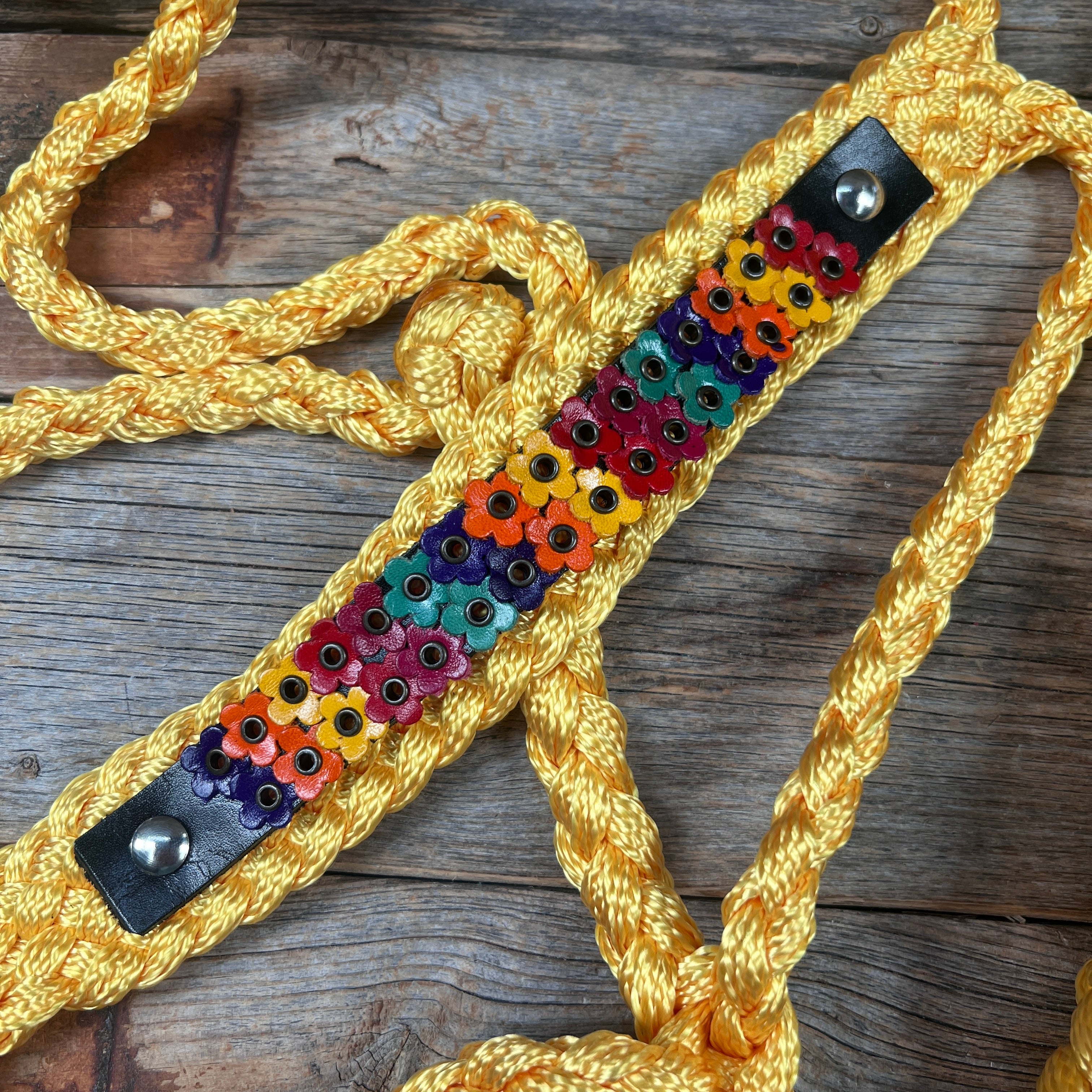 Gold Mule Tape Halter - Multicolored Flowers #MT237