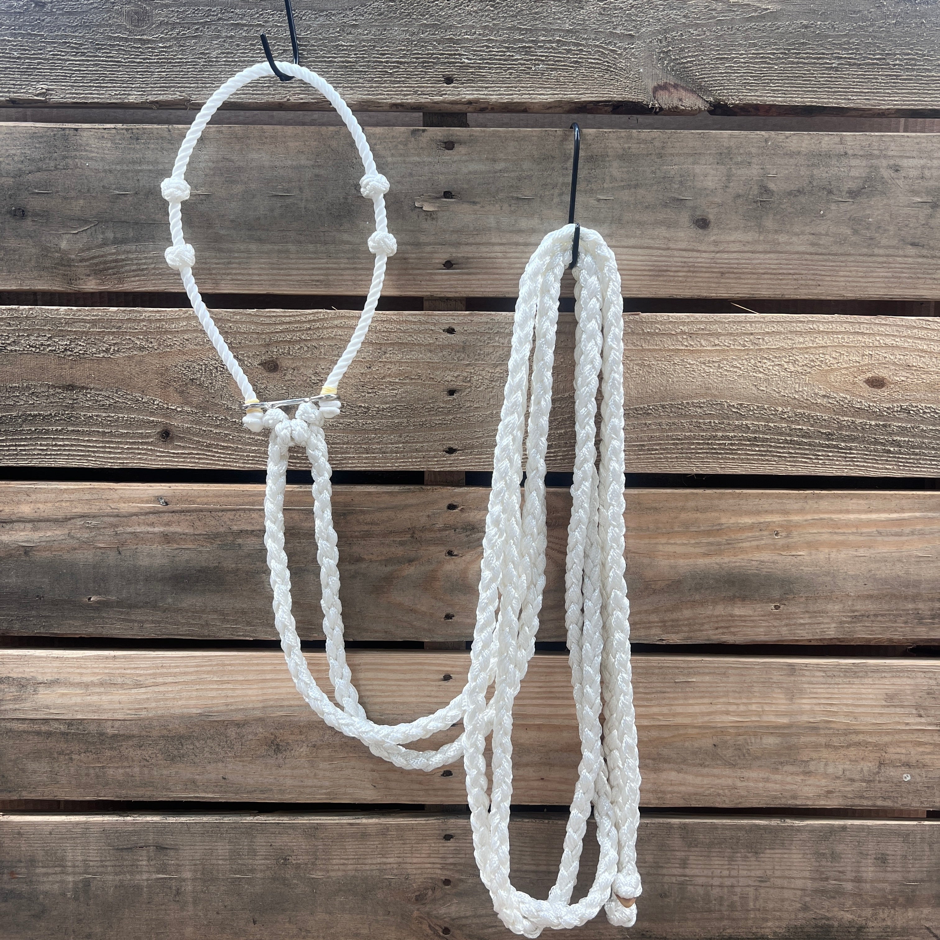 Lariat  Hackamore and Double Reins - Assorted Colors