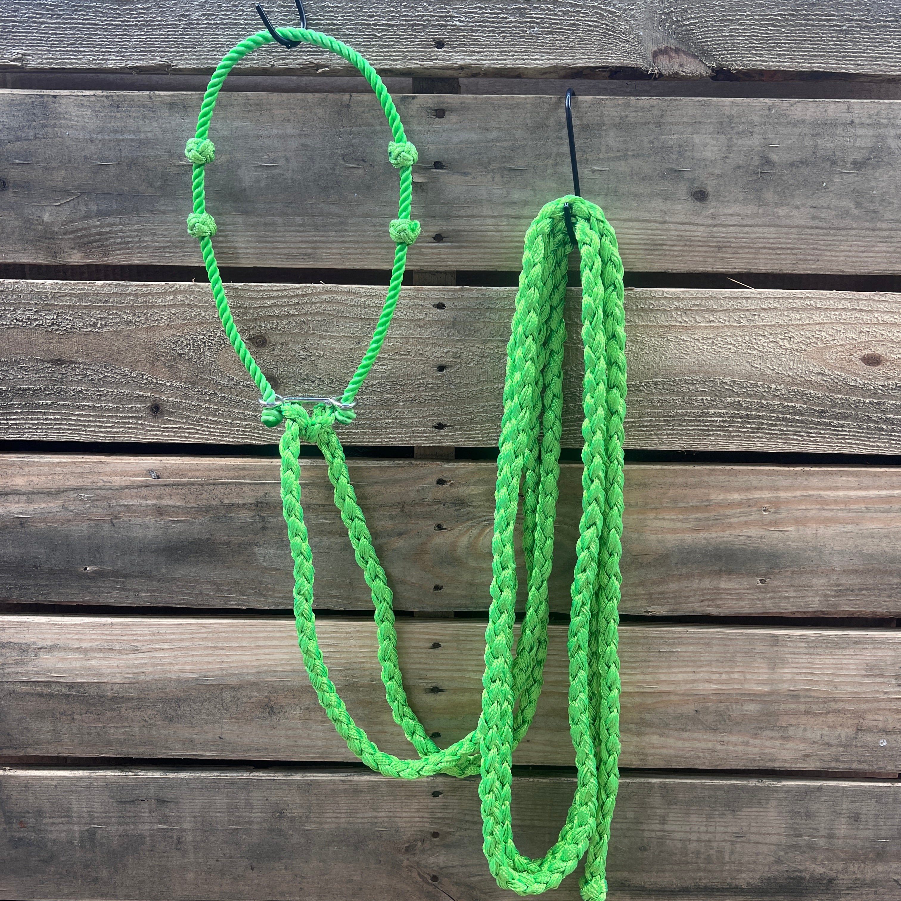 Lariat  Hackamore and Double Reins - Assorted Colors