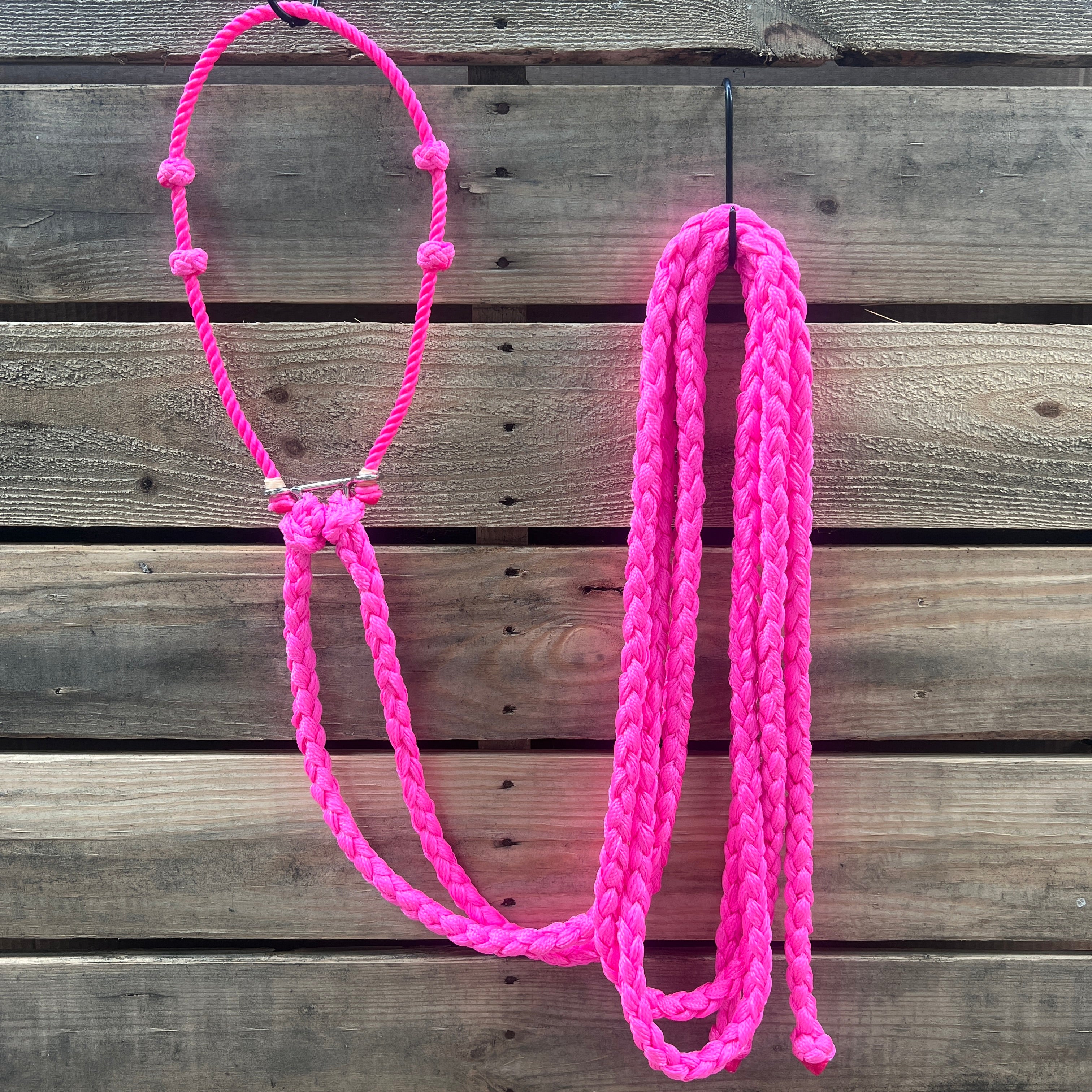 Lariat  Hackamore and Double Reins - Assorted Colors