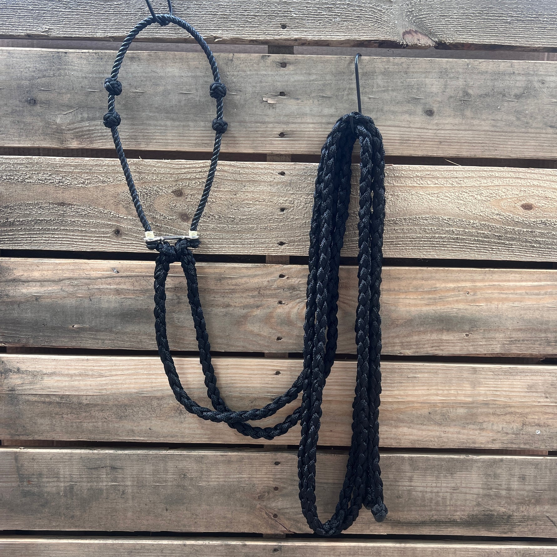 Lariat  Hackamore and Double Reins - Assorted Colors