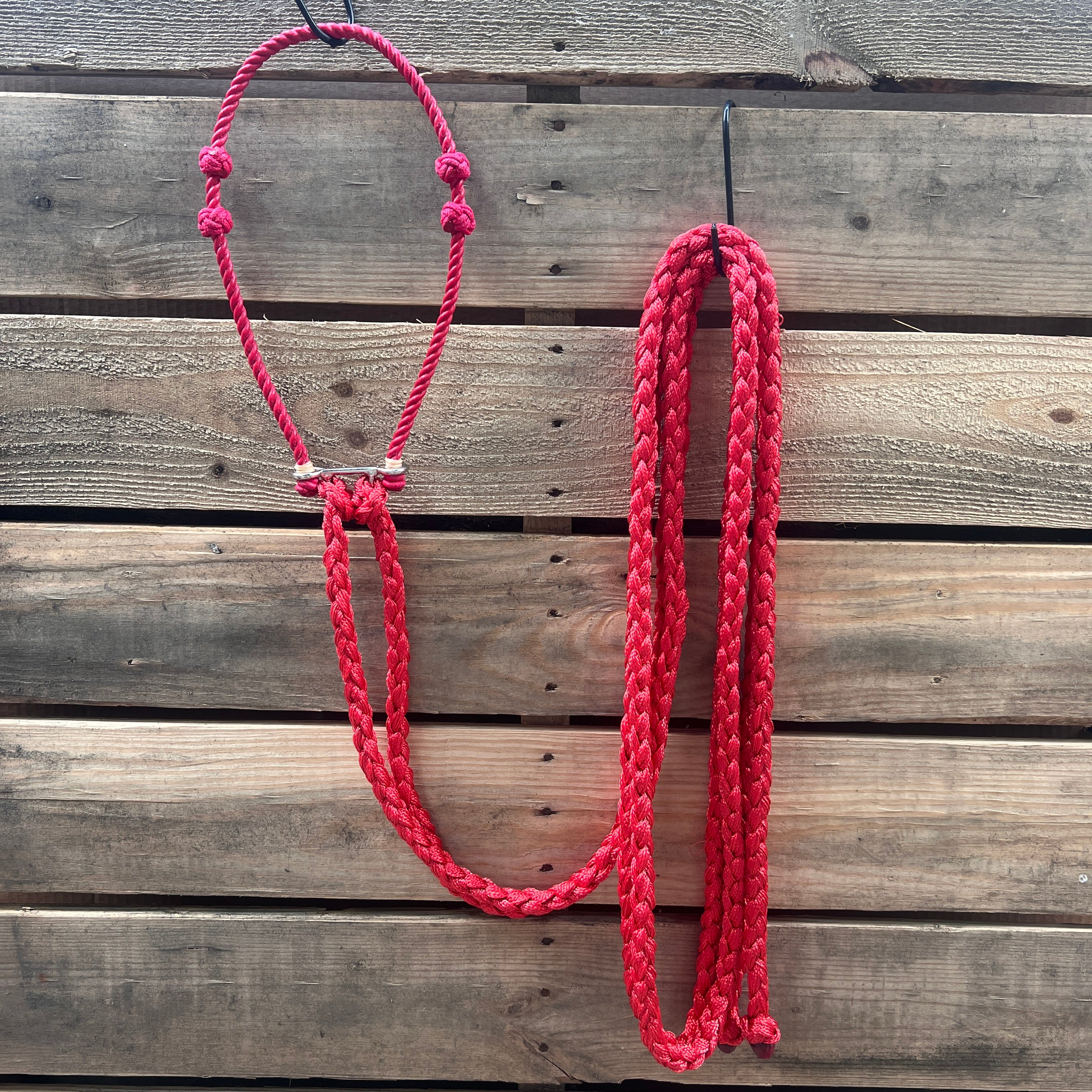 Lariat  Hackamore and Double Reins - Assorted Colors