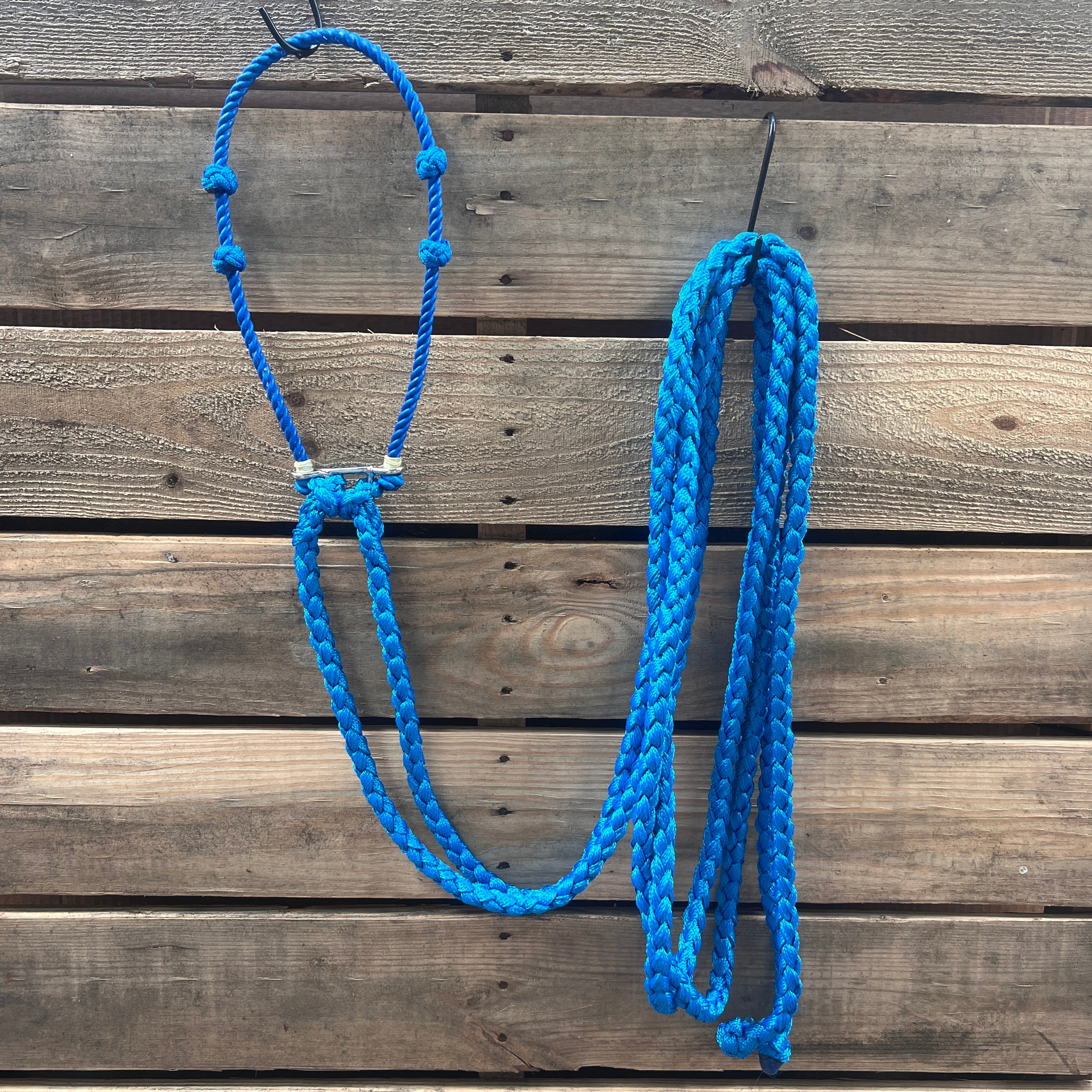 Lariat  Hackamore and Double Reins - Assorted Colors
