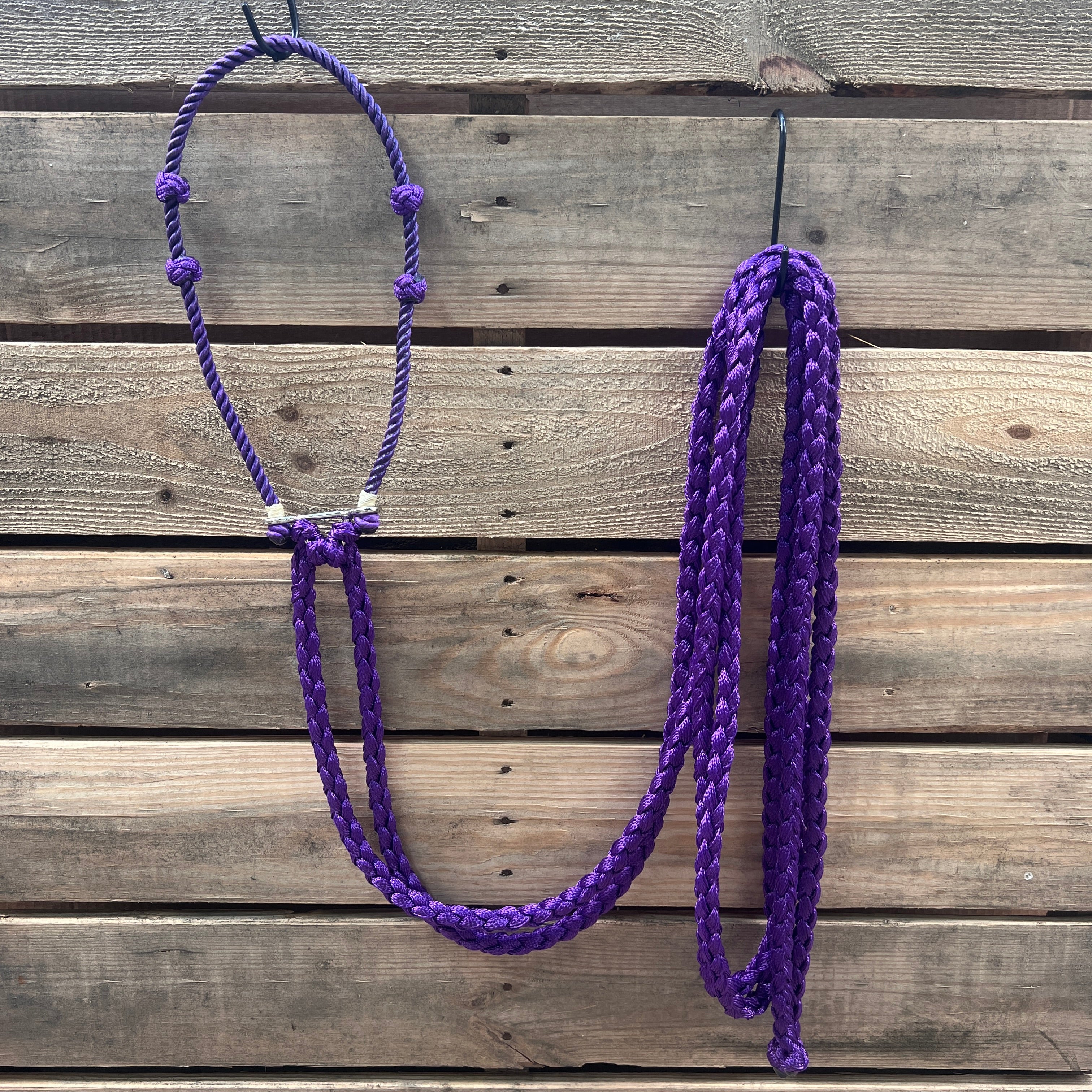 Lariat  Hackamore and Double Reins - Assorted Colors