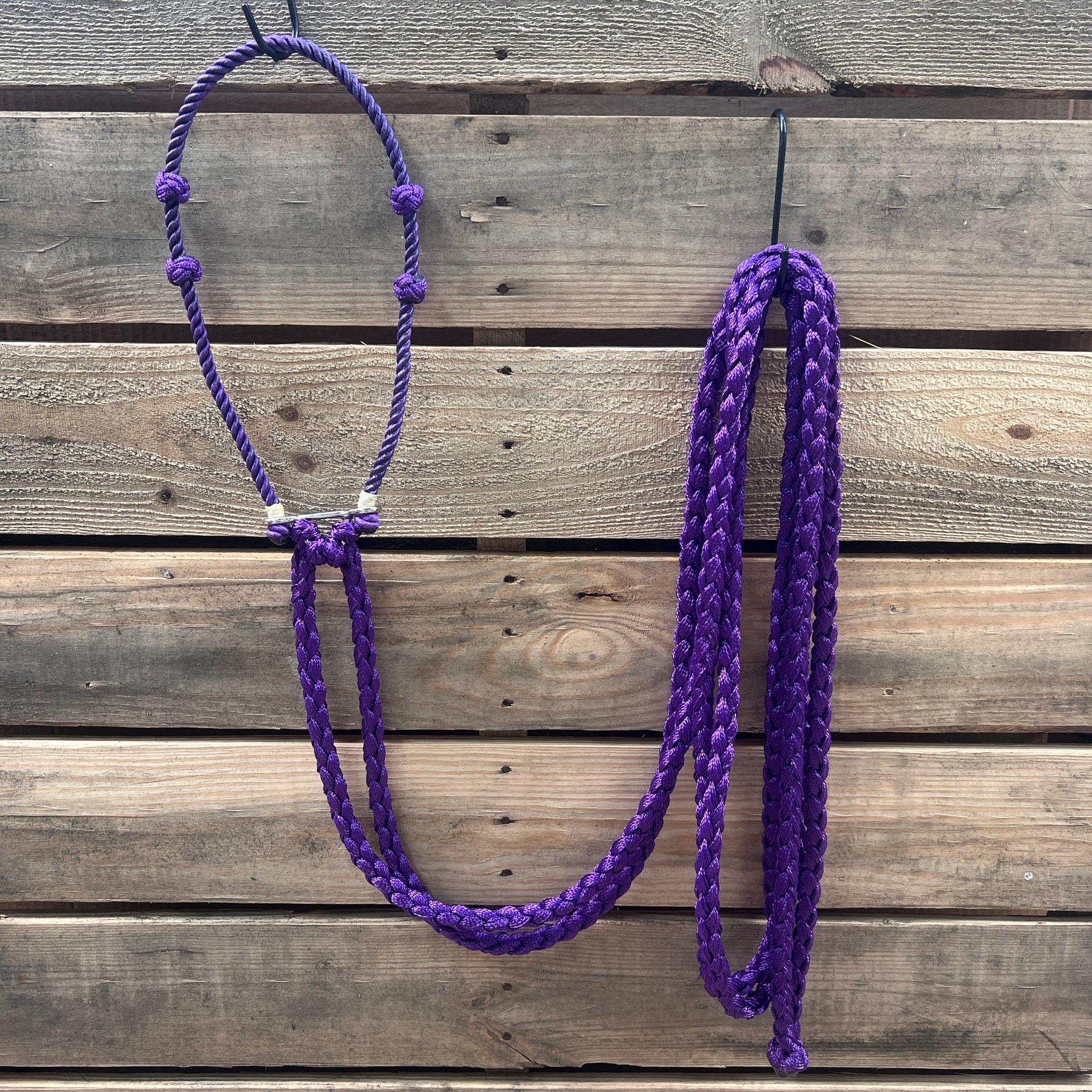 Lariat  Hackamore and Double Reins - Assorted Colors