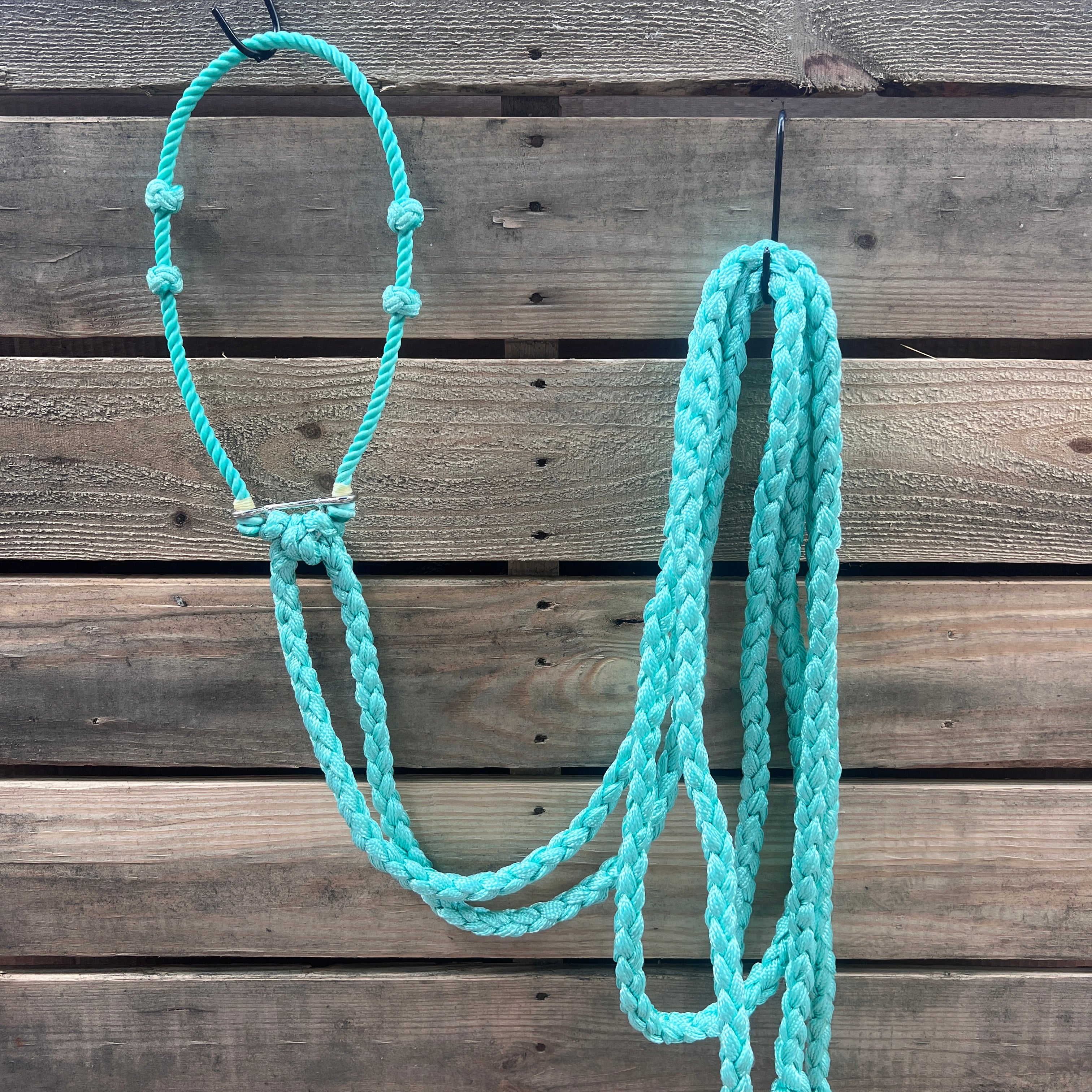 Lariat  Hackamore and Double Reins - Assorted Colors