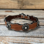 Genuine Leather Dog Collar With Antique Silver Jet and Clear Conchos 10" to 22" -DC75