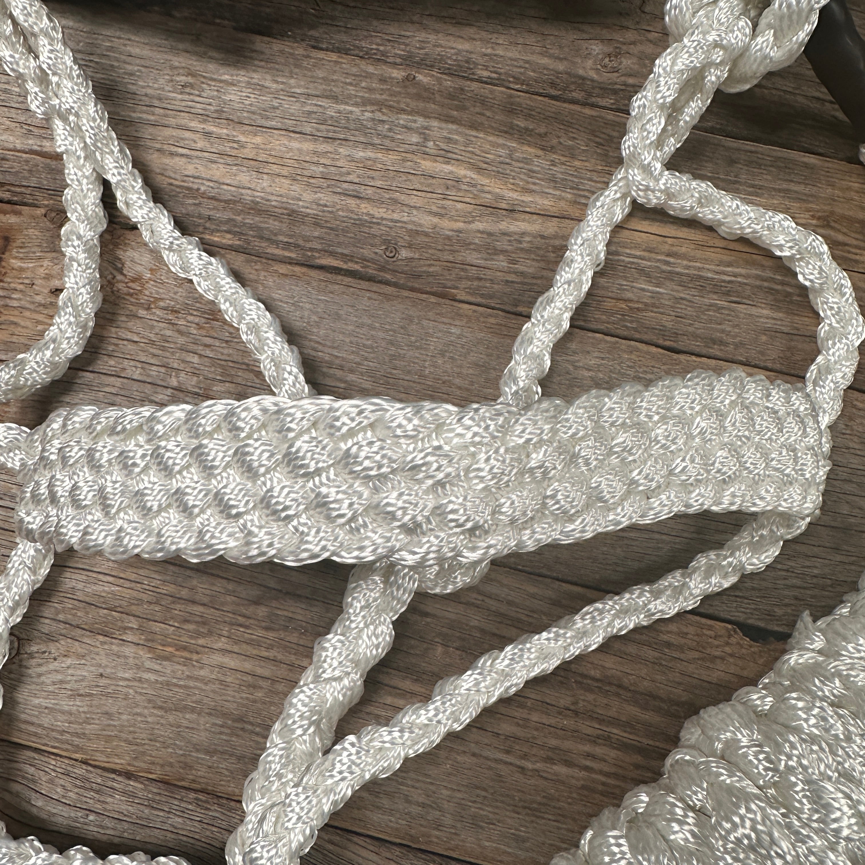 White Mule Tape Halter