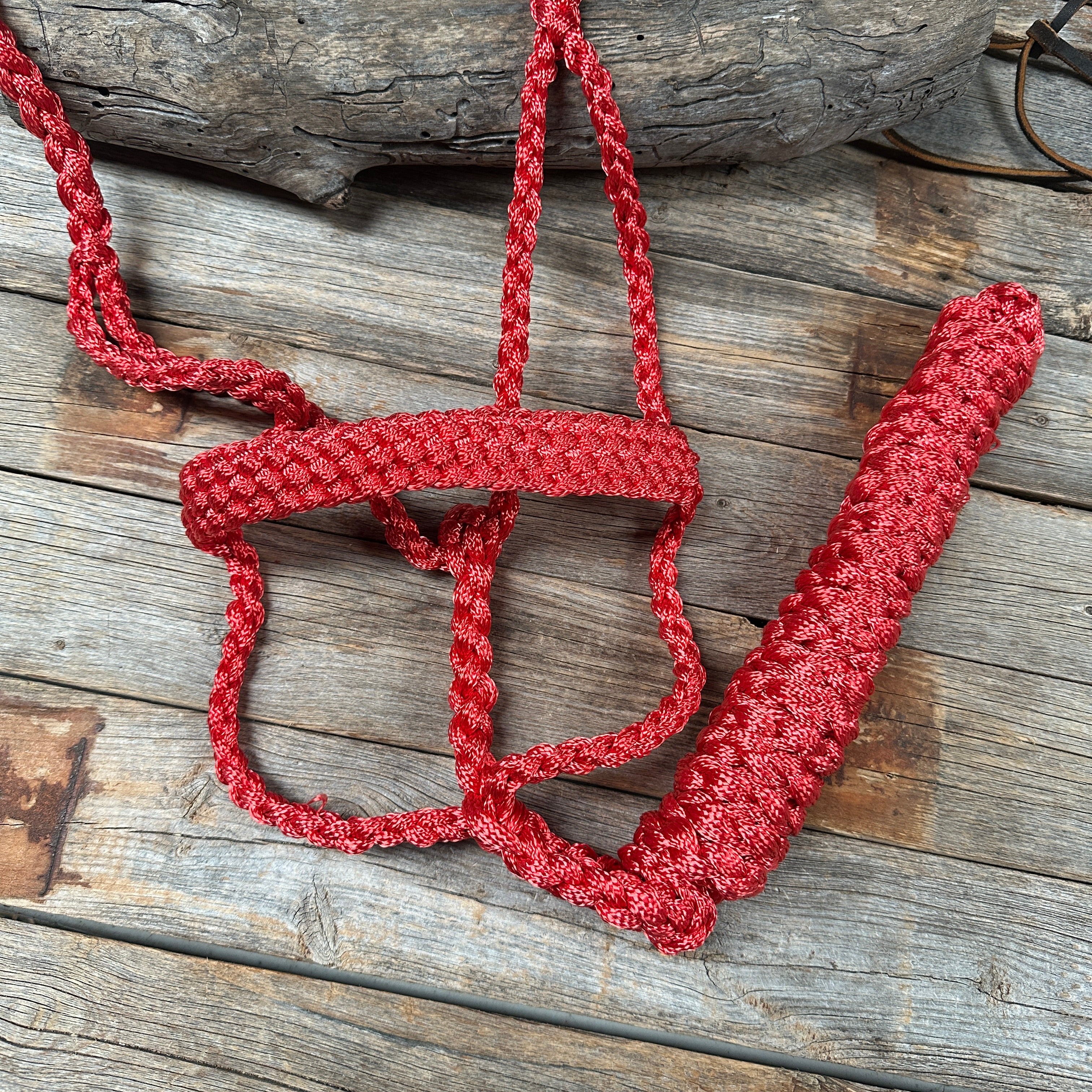 Red Mule Tape Halter