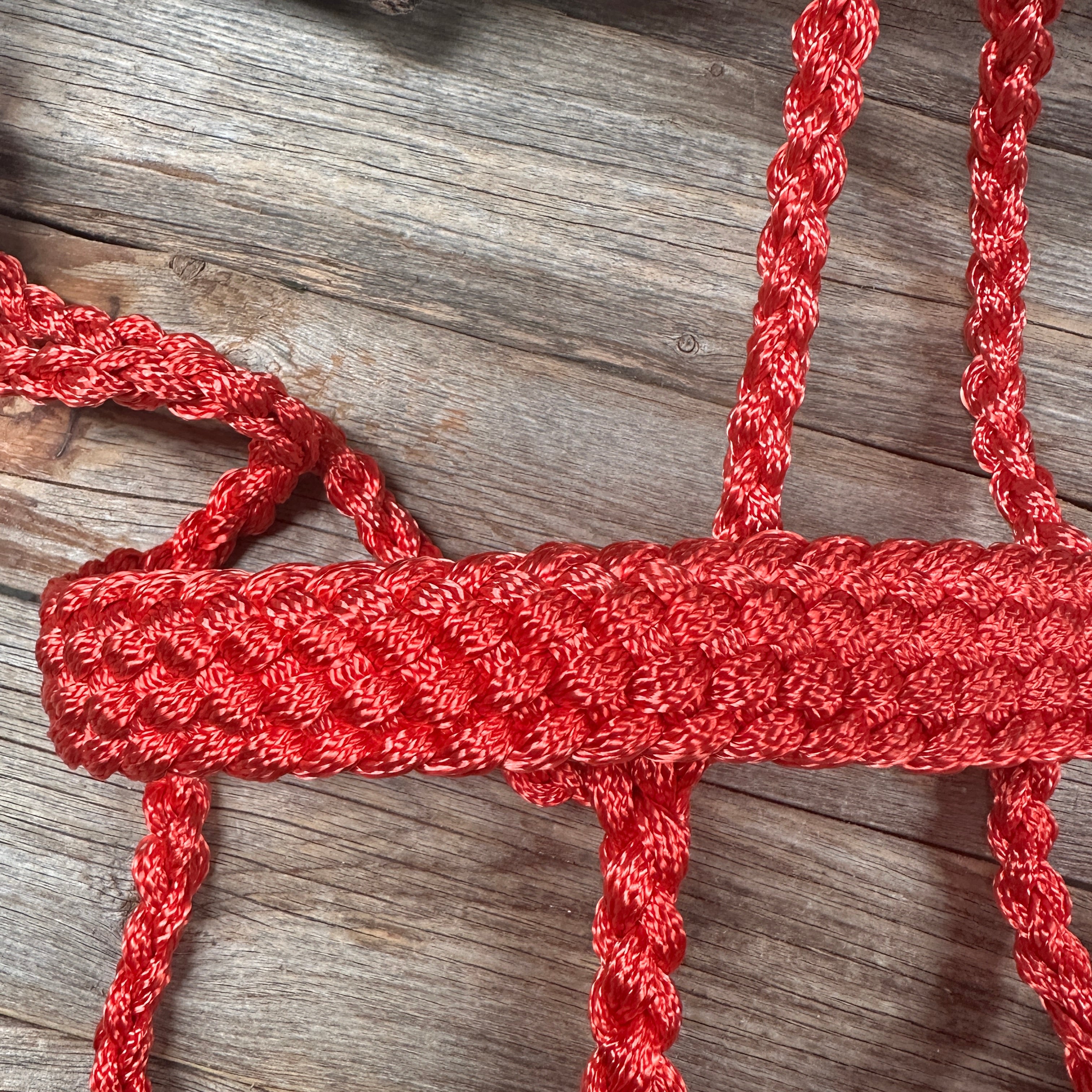 Red Mule Tape Halter