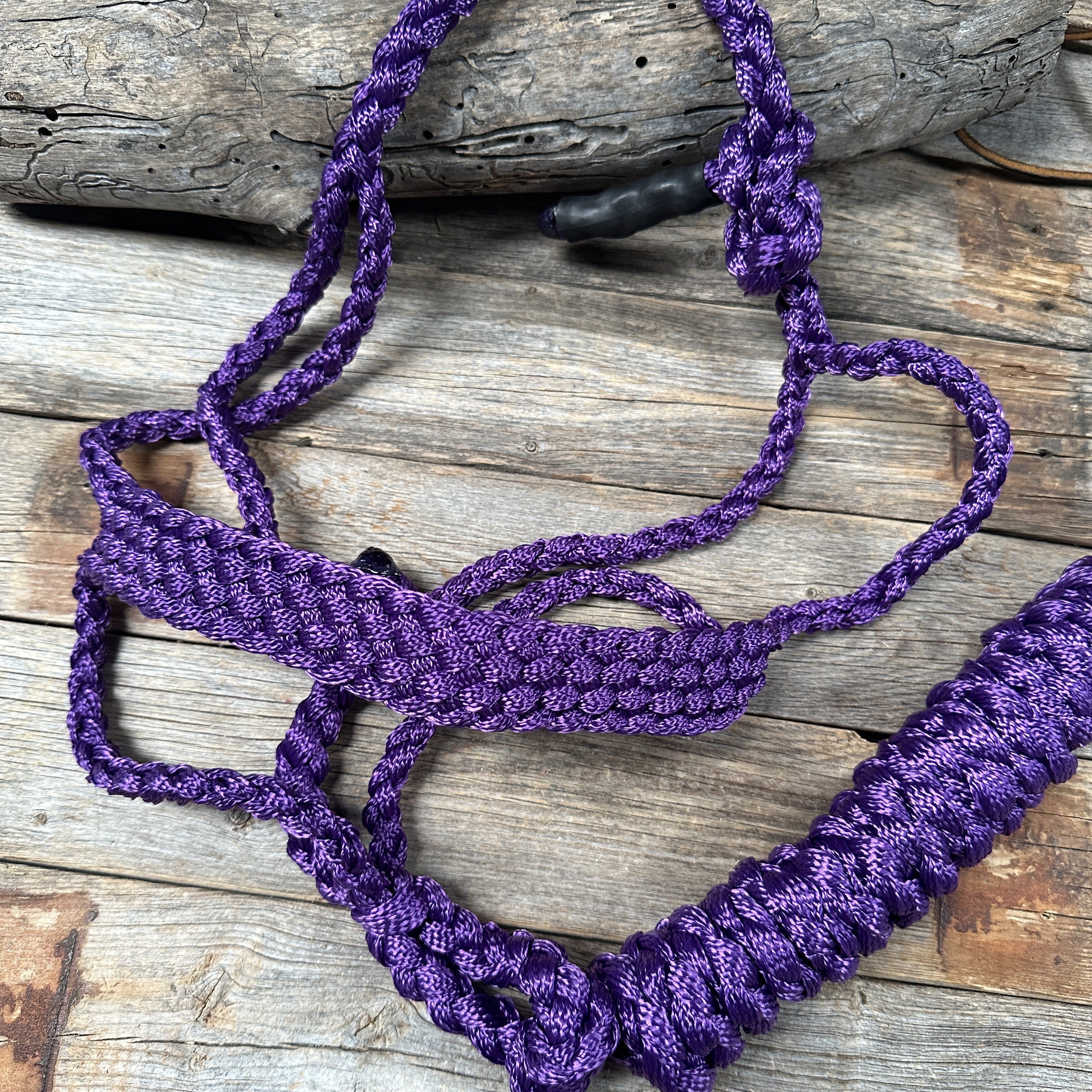 Purple Mule Tape Halter