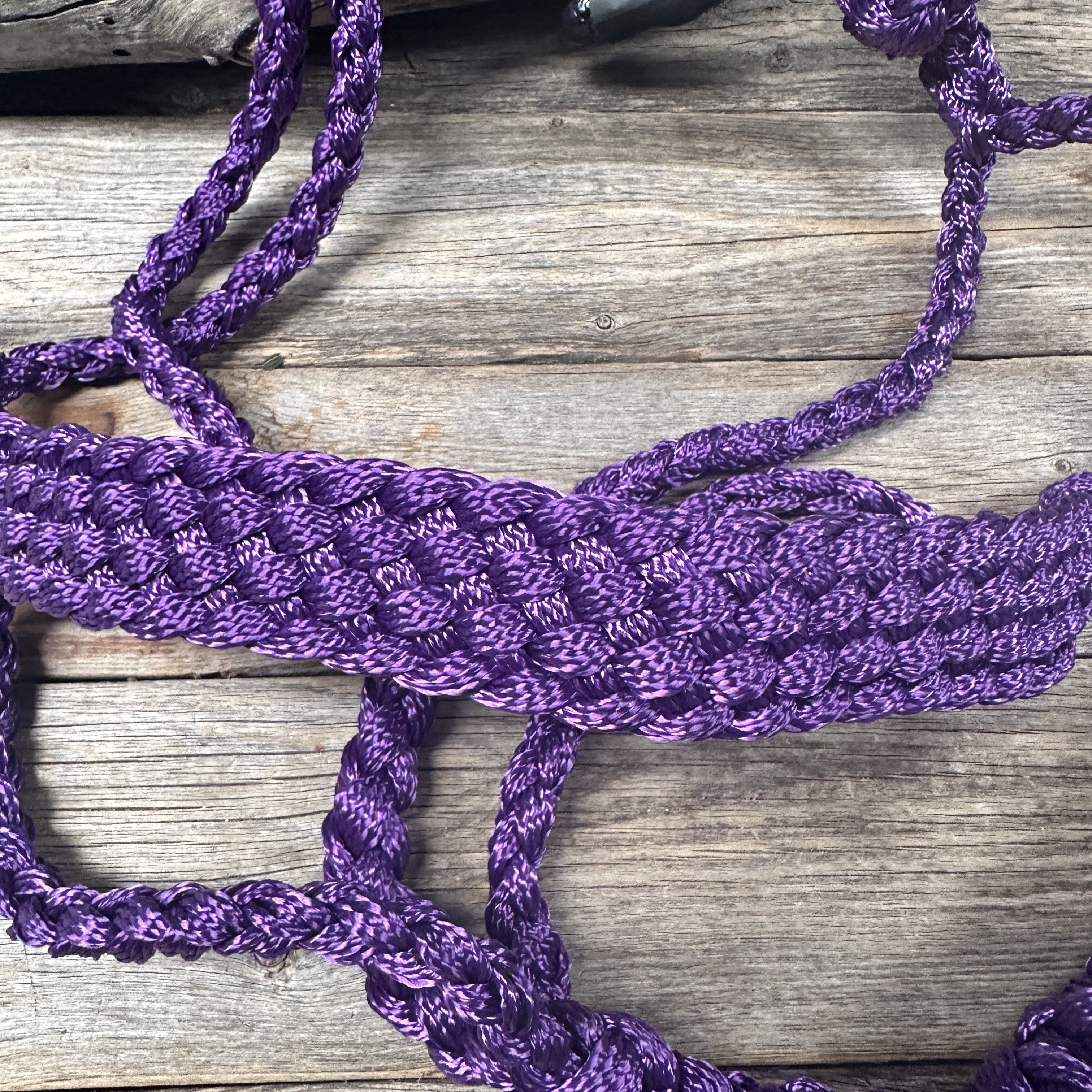 Purple Mule Tape Halter