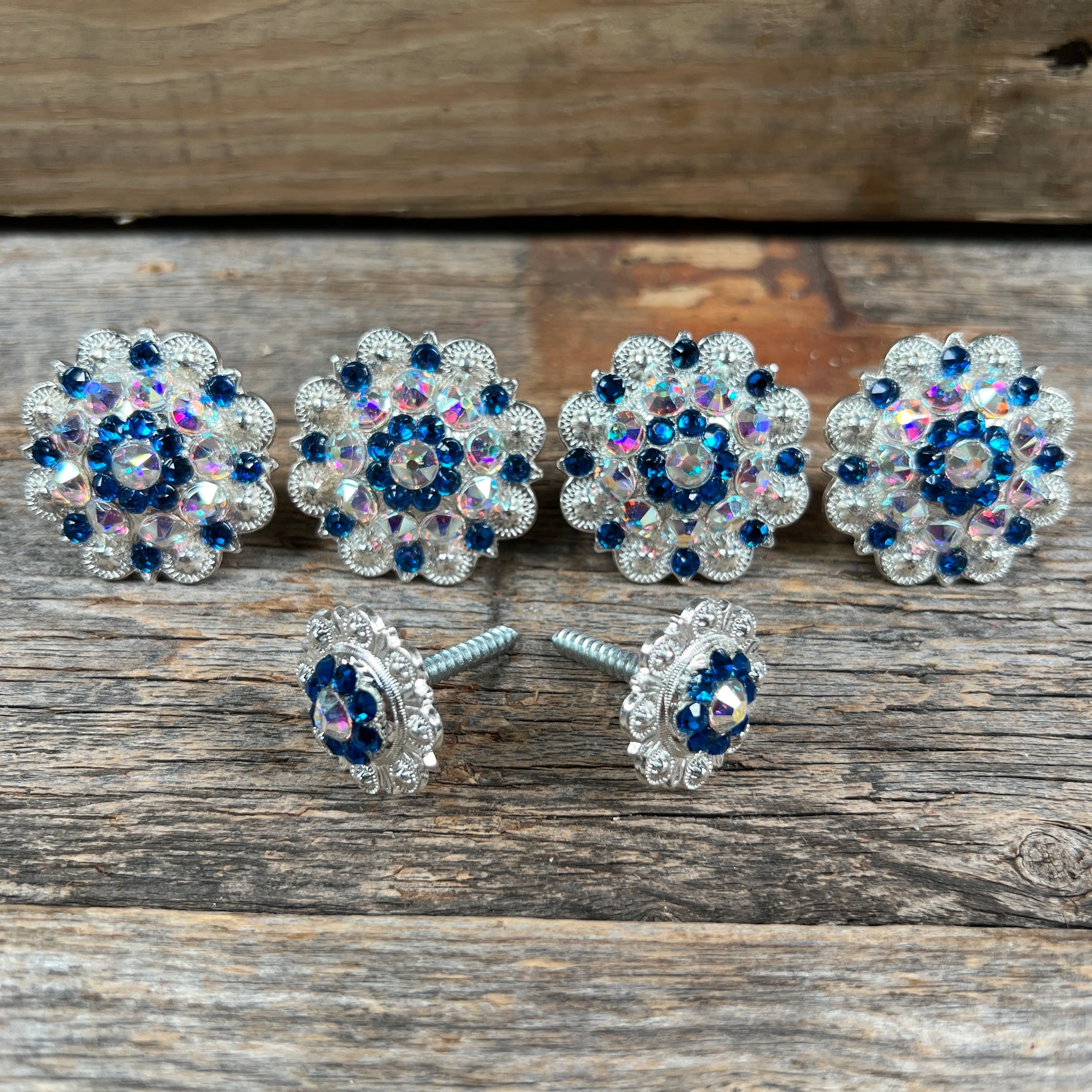 Bright Silver Capri & AB Saddle Conchos