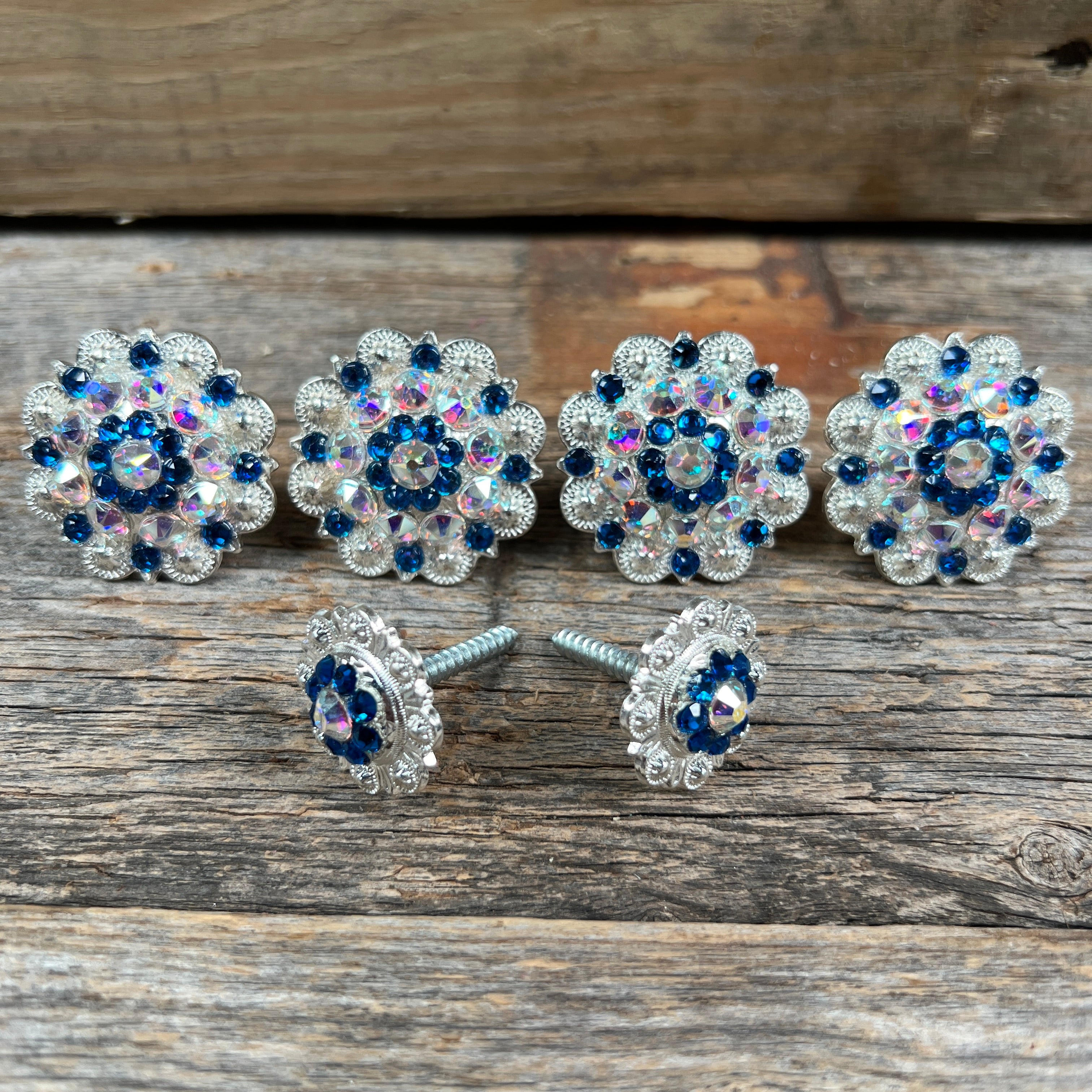 Bright Silver Capri & AB Saddle Conchos