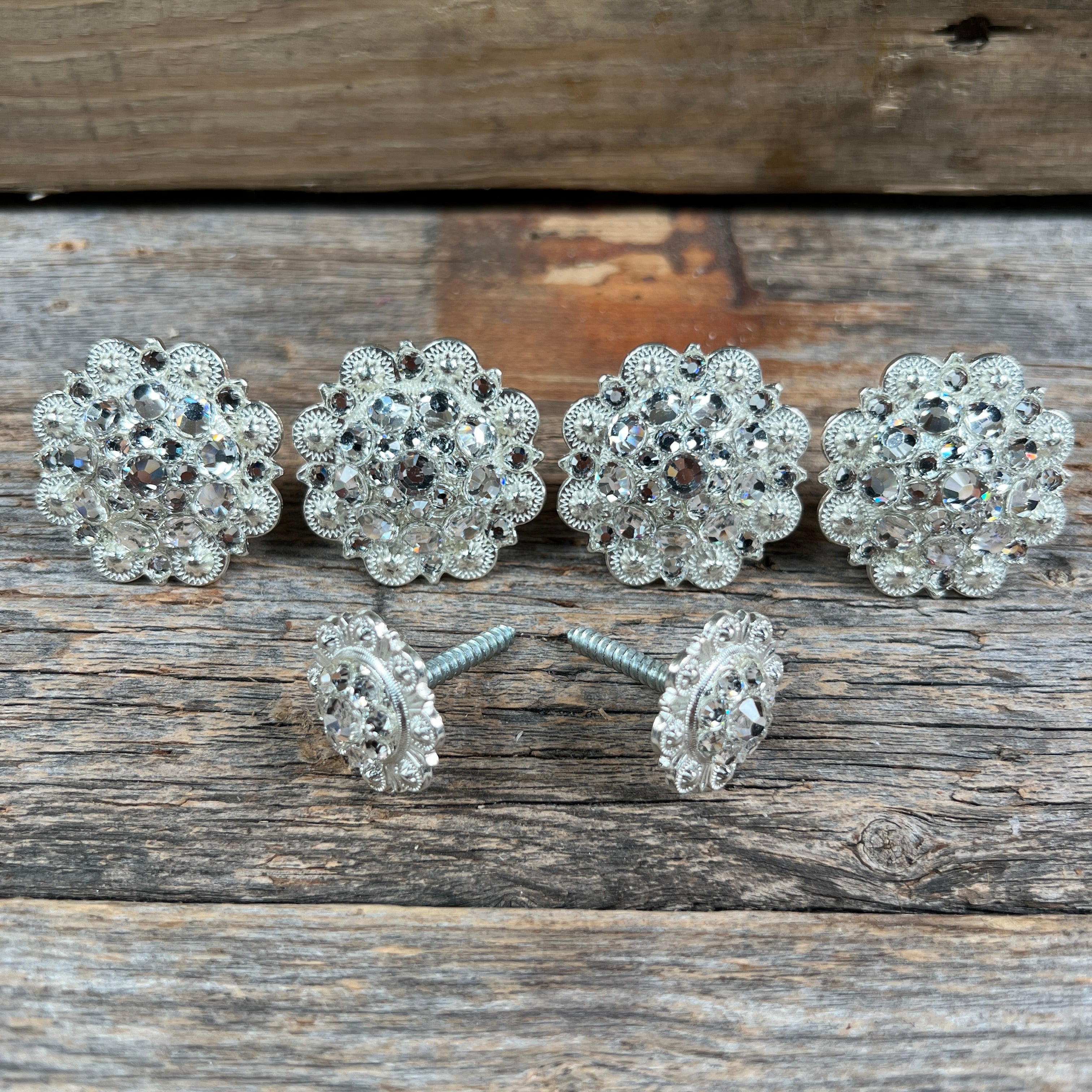Bright Silver Clear Saddle Conchos