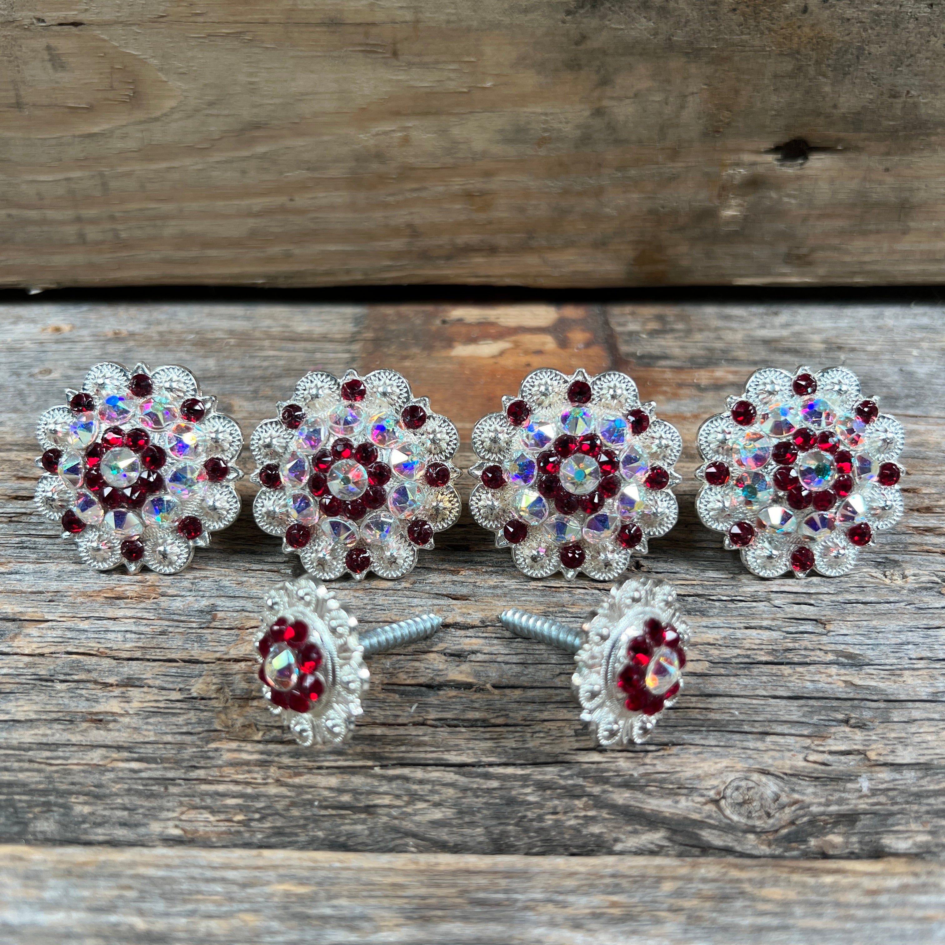 Bright Silver Ruby & AB Saddle Conchos